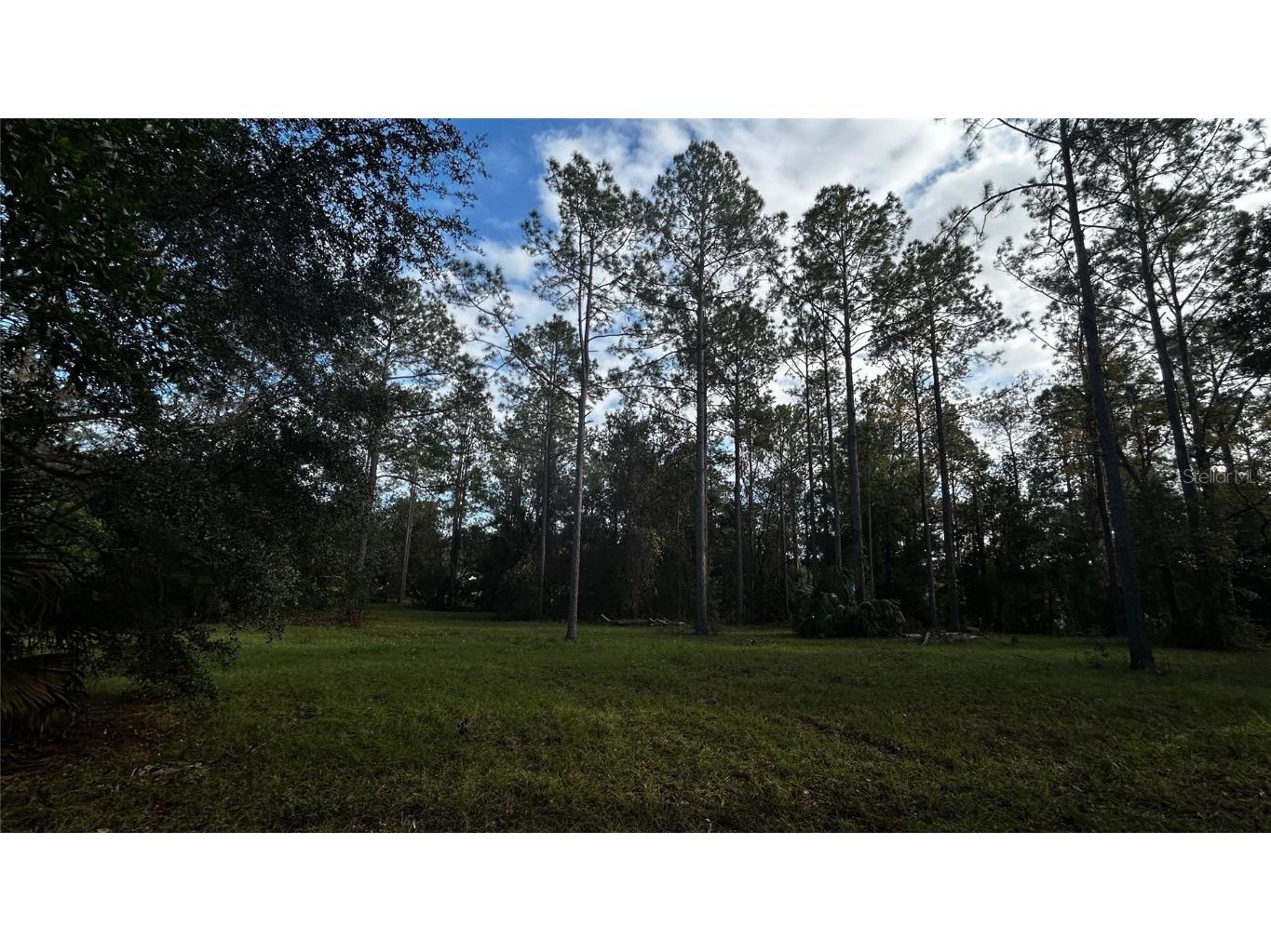 35501 Pinegate Trail Eustis FL 32736 TB8412977 image11