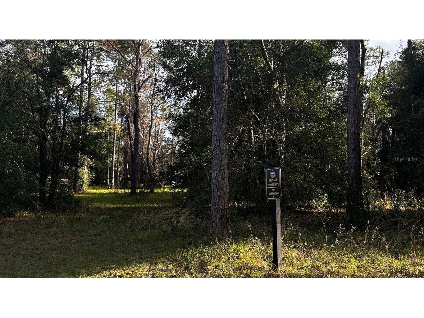 35501 Pinegate Trail Eustis FL 32736 TB8412977 image12