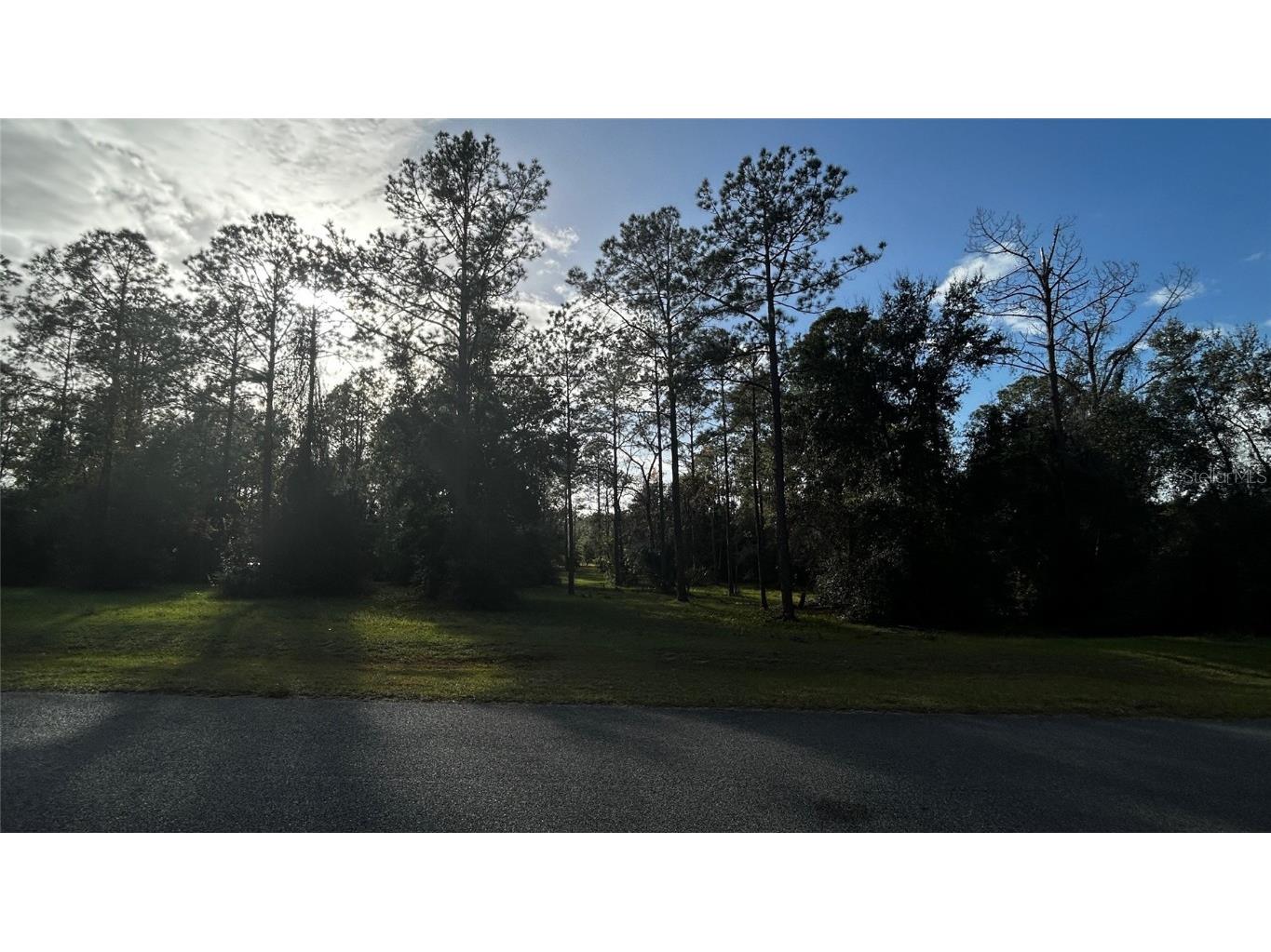 35501 Pinegate Trail Eustis FL 32736 TB8412977 image13