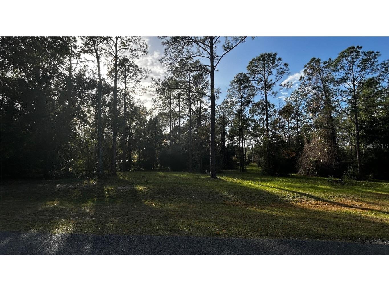 35501 Pinegate Trail Eustis FL 32736 TB8412977 image14