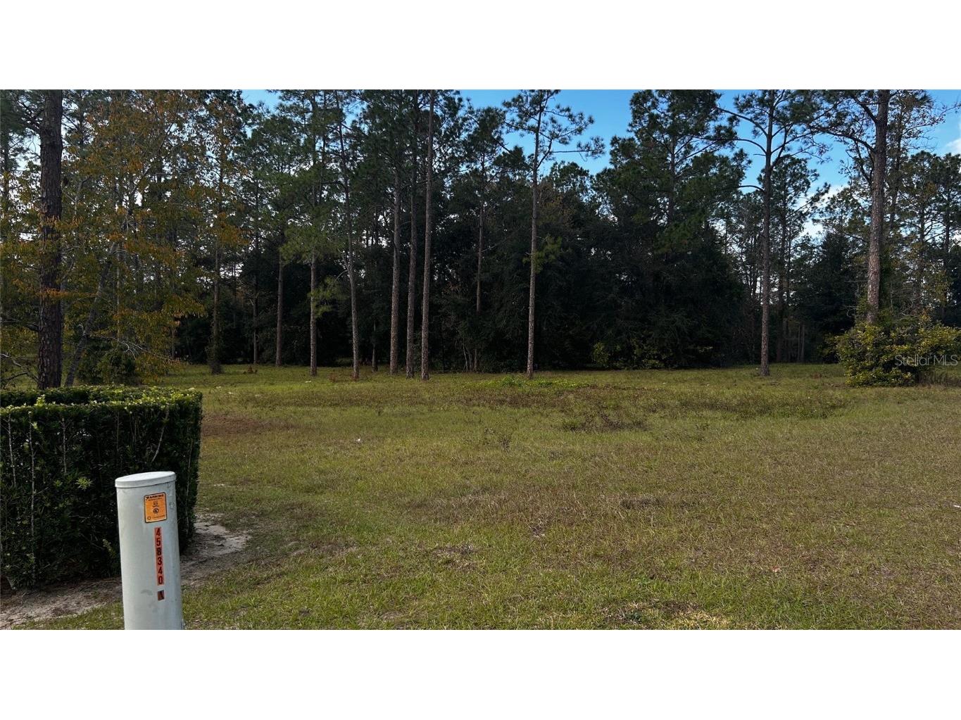 35501 Pinegate Trail Eustis FL 32736 TB8412977 image4