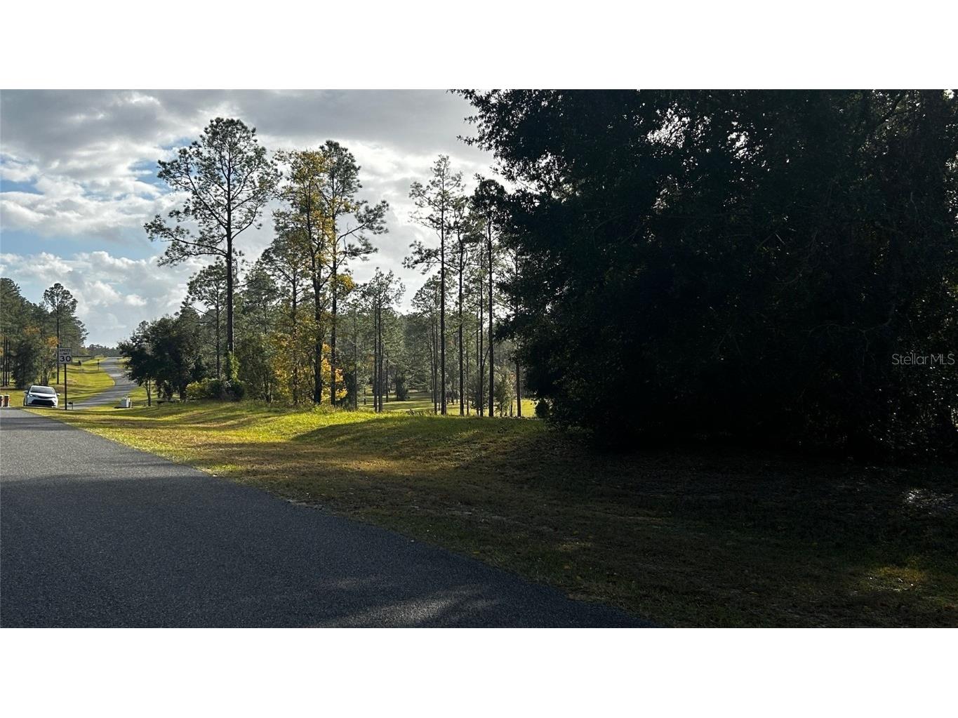 35501 Pinegate Trail Eustis FL 32736 TB8412977 image5