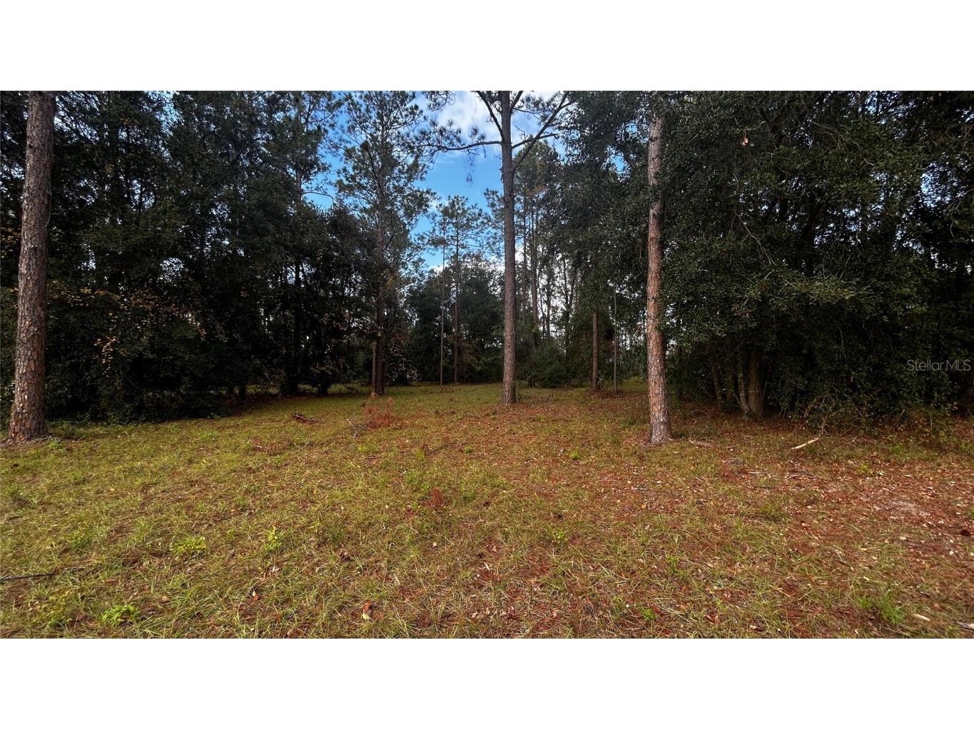 35501 Pinegate Trail Eustis FL 32736 TB8412977 image7