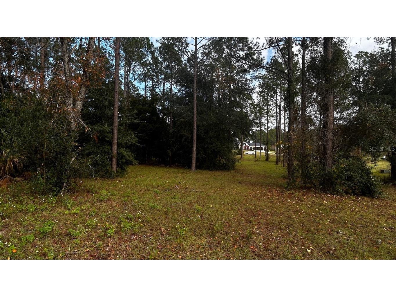 35501 Pinegate Trail Eustis FL 32736 TB8412977 image8