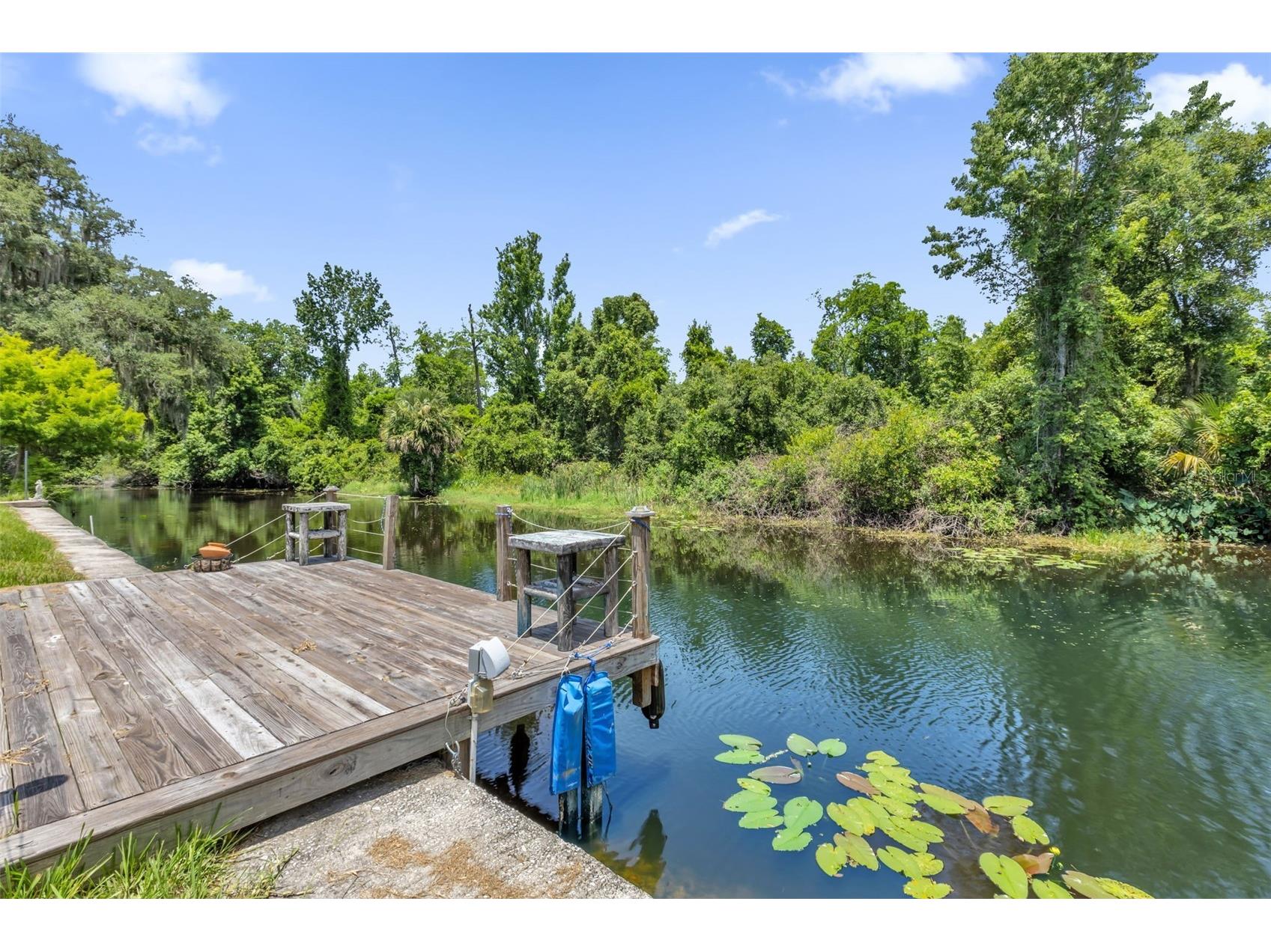 35505 Crescent Drive Fruitland Park FL 34731 G5113273 image36