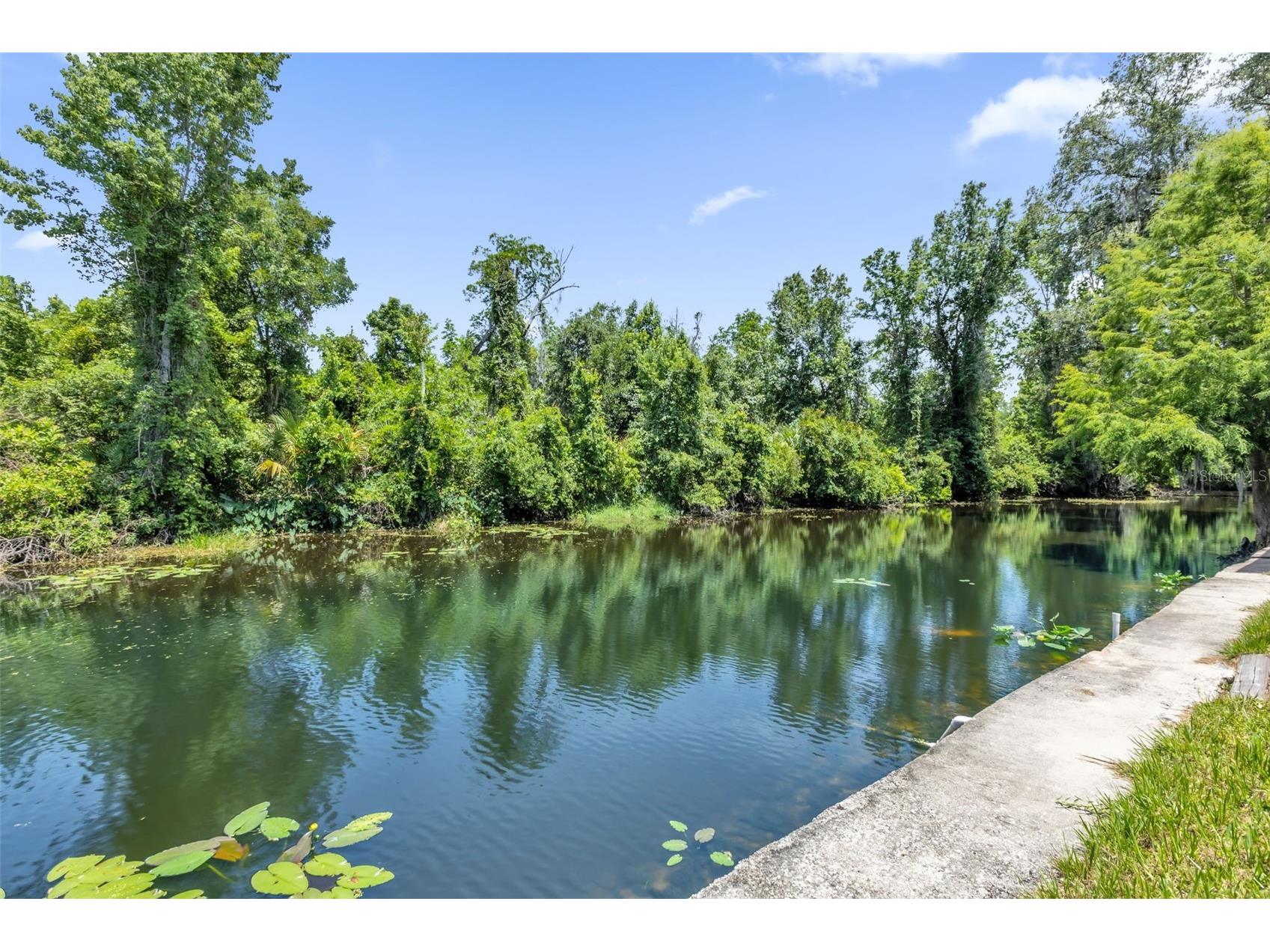 35505 Crescent Drive Fruitland Park FL 34731 G5113273 image37