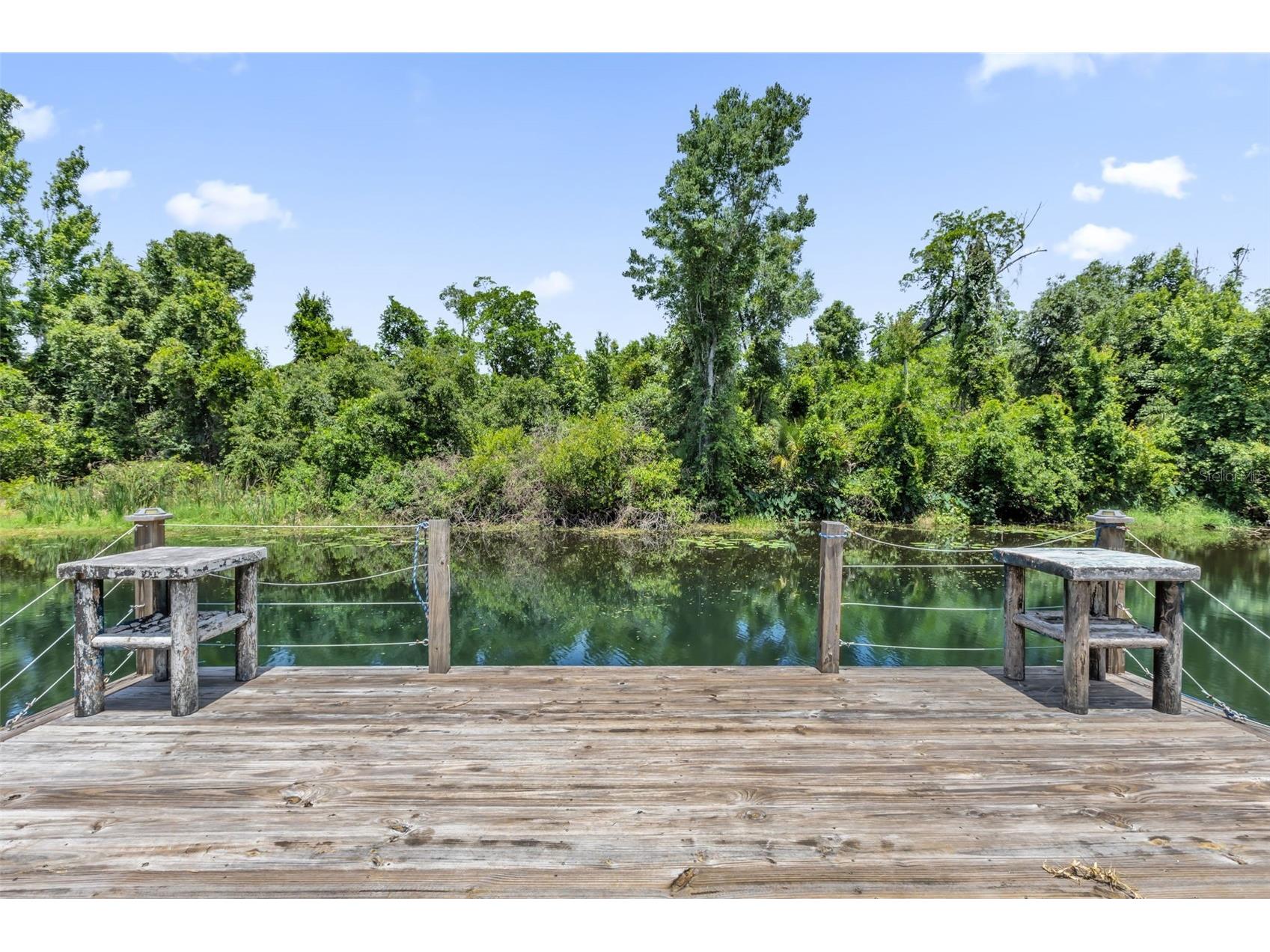 35505 Crescent Drive Fruitland Park FL 34731 G5113273 image38