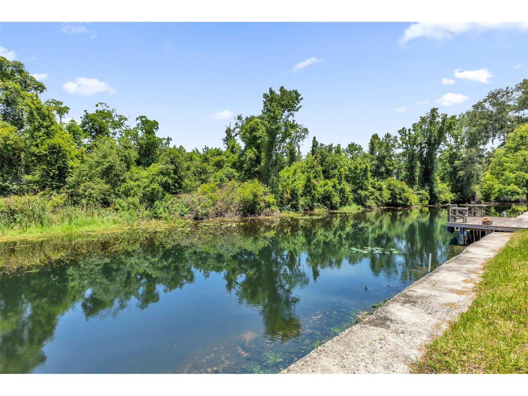 35505 Crescent Drive Fruitland Park FL 34731 G5113273 image39