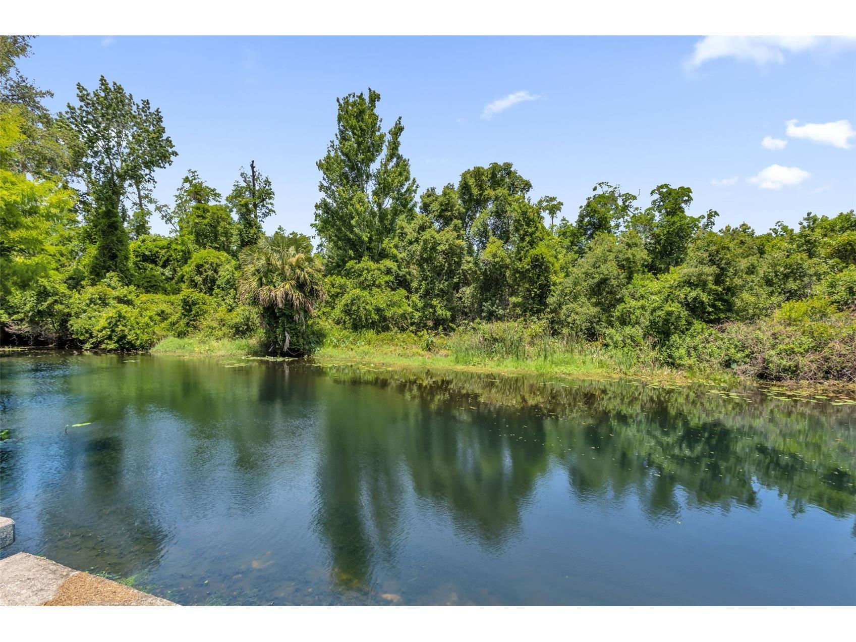 35505 Crescent Drive Fruitland Park FL 34731 G5113273 image40