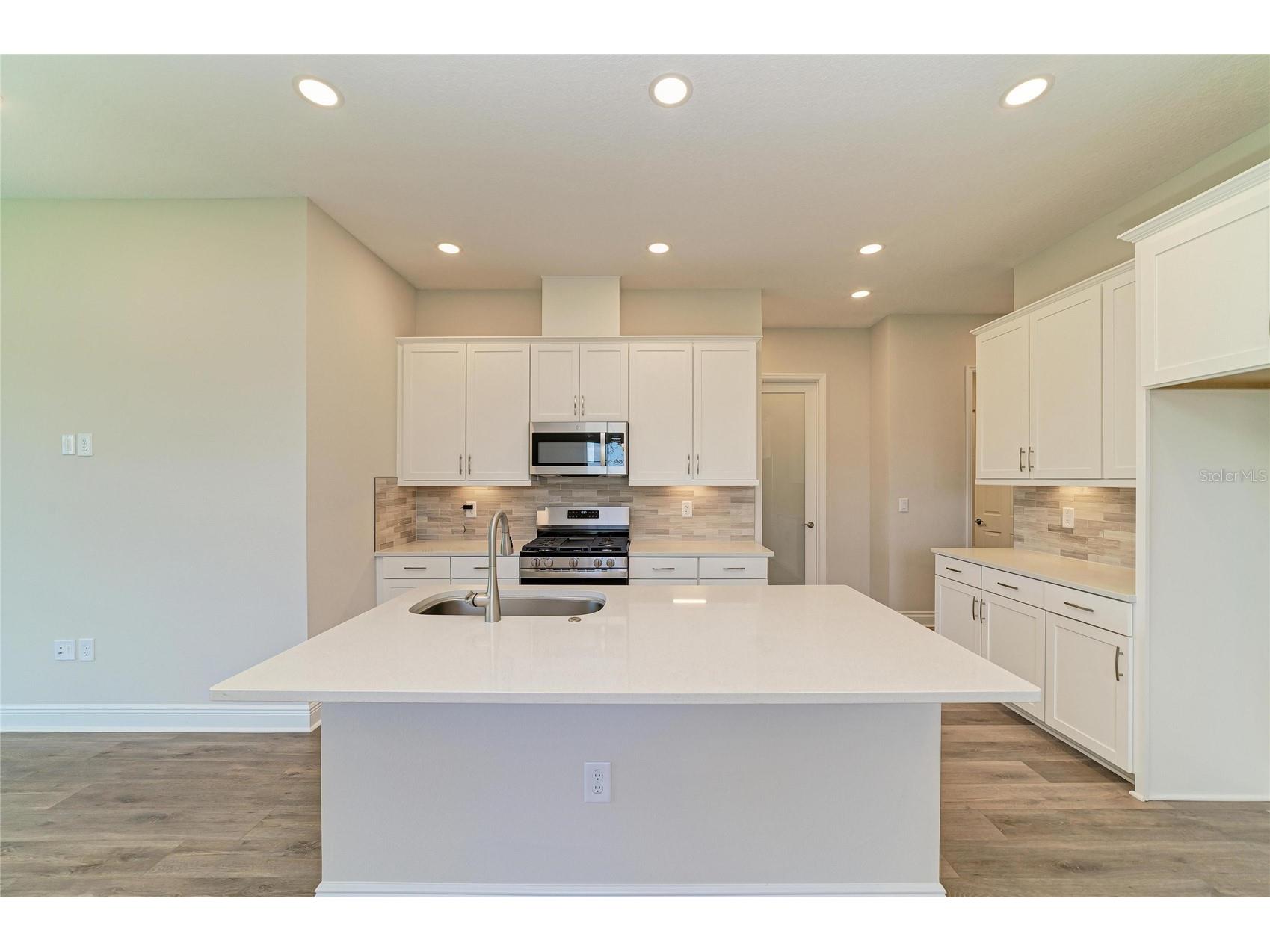 35509 Stableton Lane Zephyrhills FL 33541 TB8470674 image12