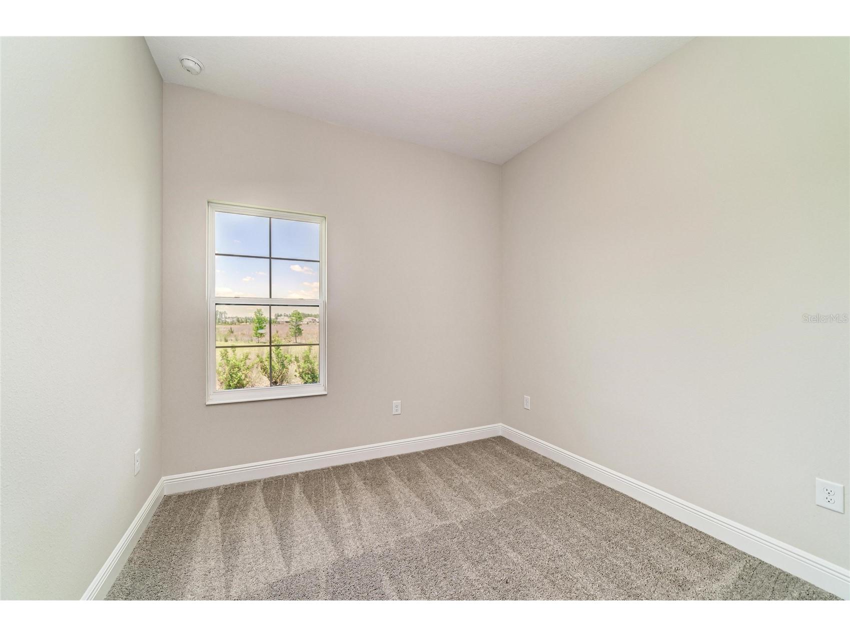 35509 Stableton Lane Zephyrhills FL 33541 TB8470674 image21