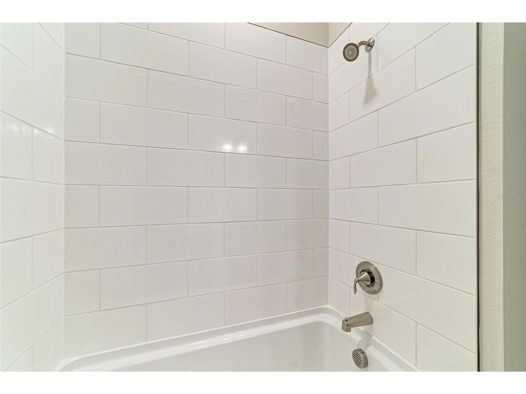 35509 Stableton Lane Zephyrhills FL 33541 TB8470674 image24