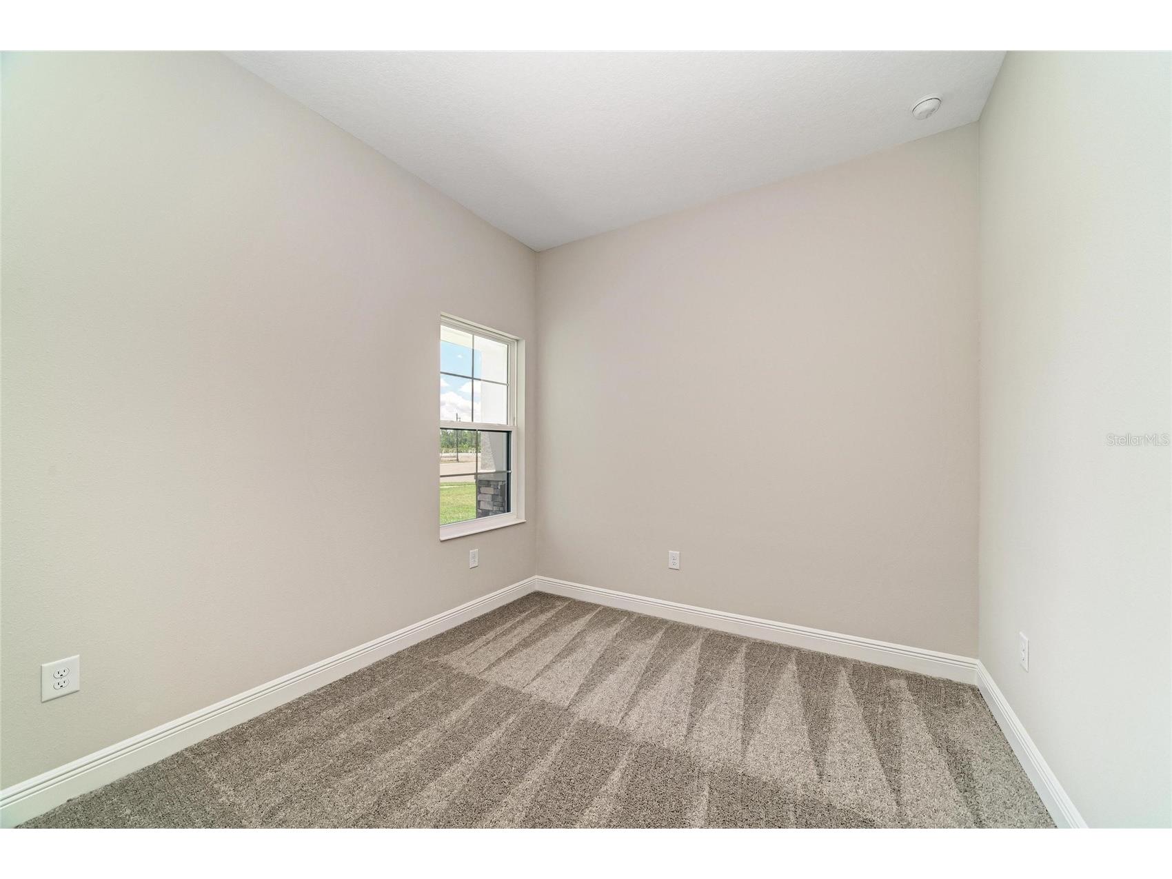 35509 Stableton Lane Zephyrhills FL 33541 TB8470674 image25