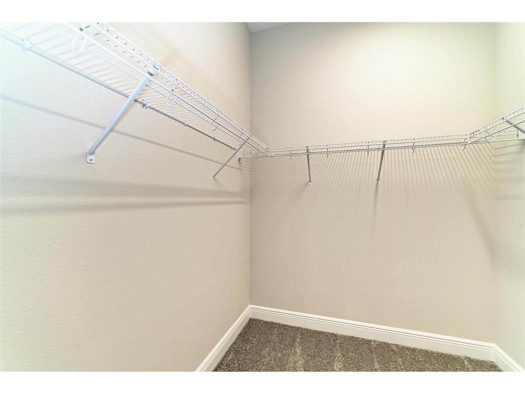 35509 Stableton Lane Zephyrhills FL 33541 TB8470674 image9