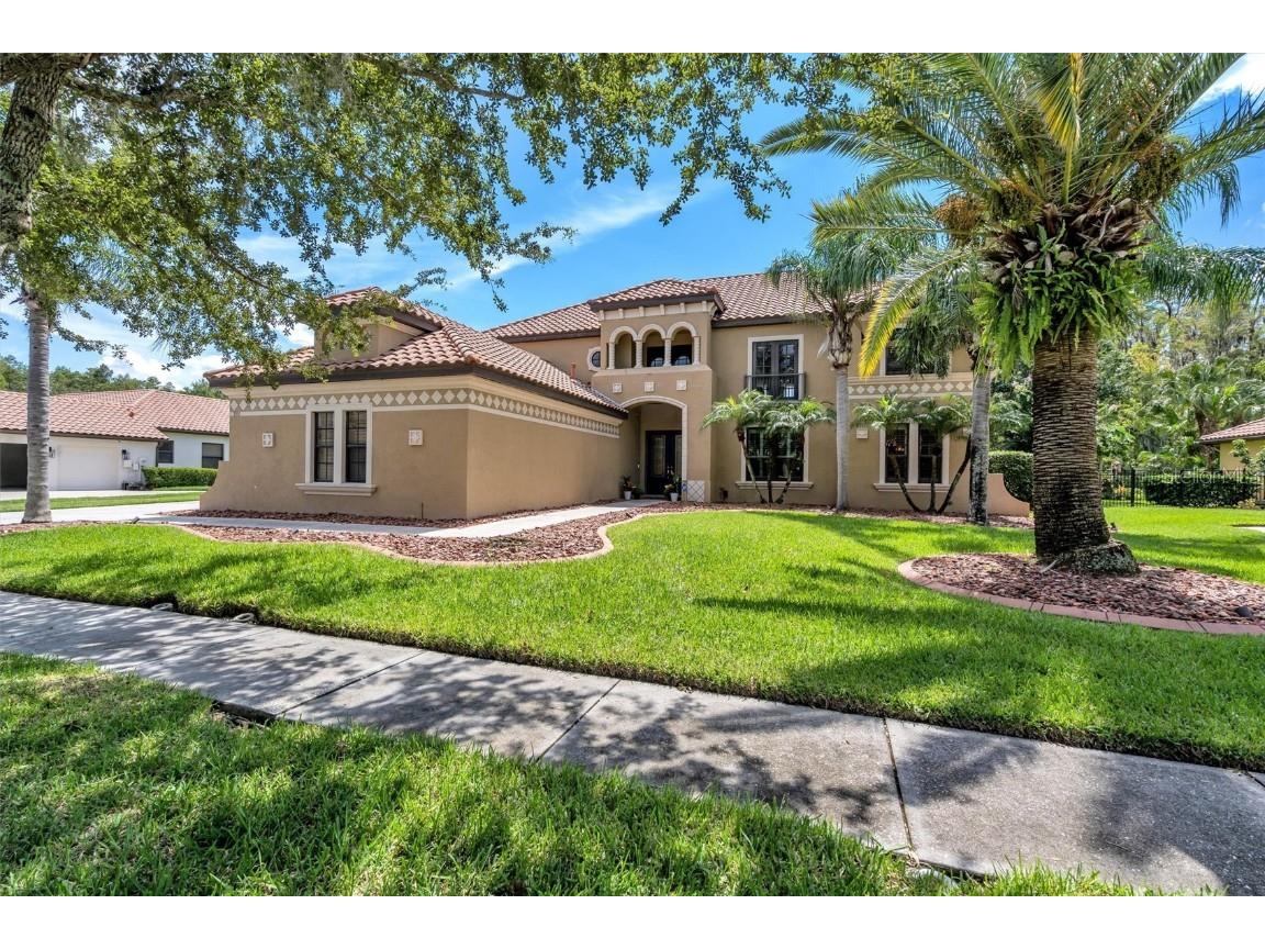 3551 Ballastone Drive Land O Lakes FL 34638 T3469365 image1