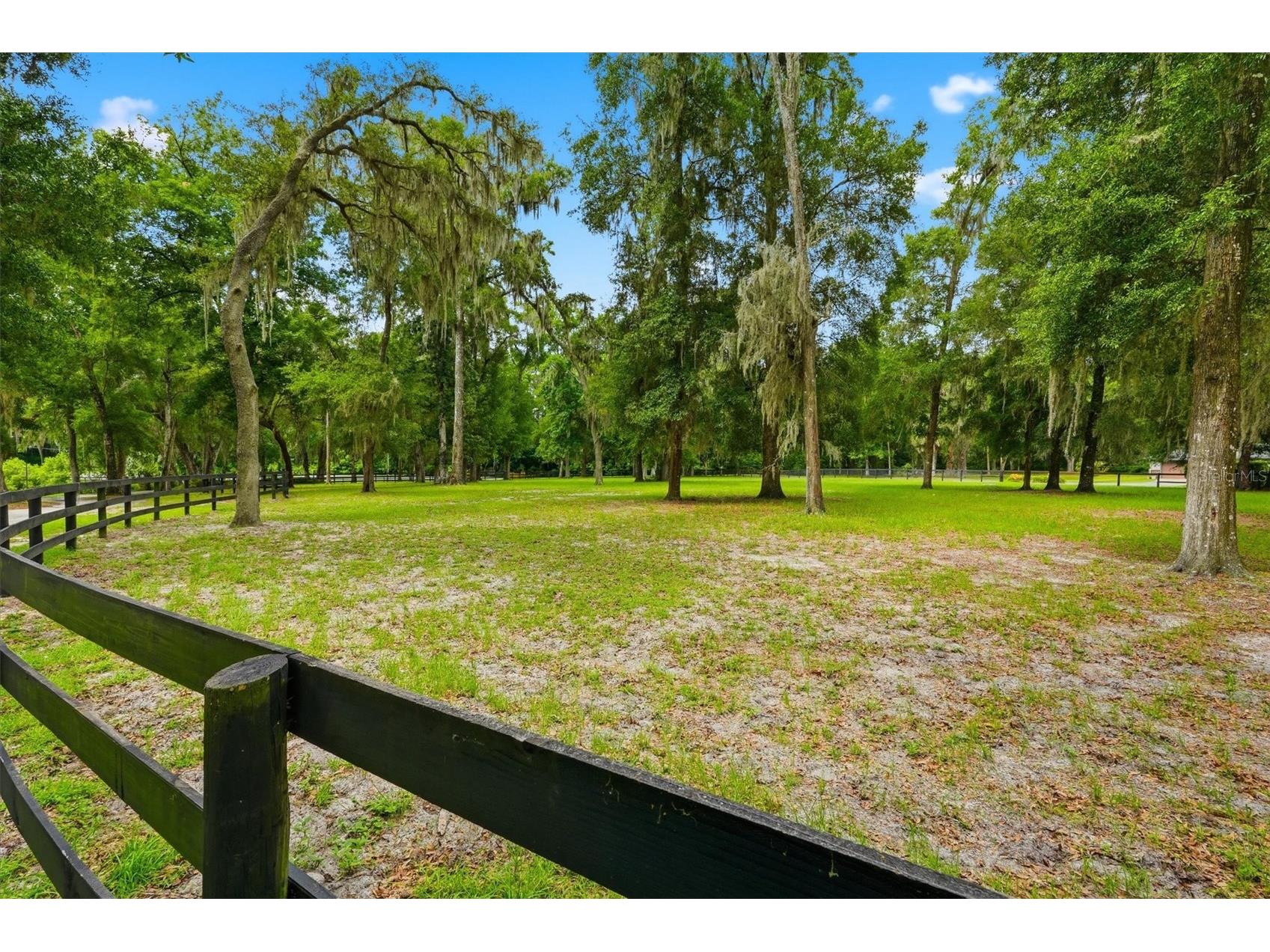 3551 E Highway 329 Anthony FL 32617 OM719291 image48