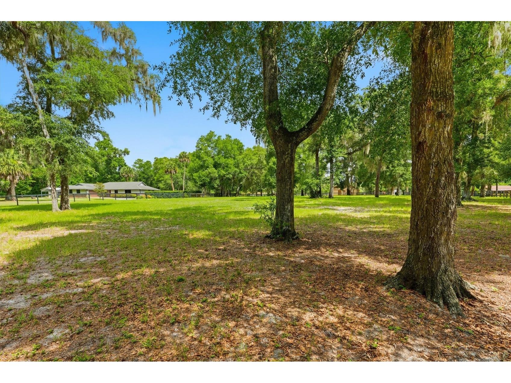 3551 E Highway 329 Anthony FL 32617 OM719291 image50