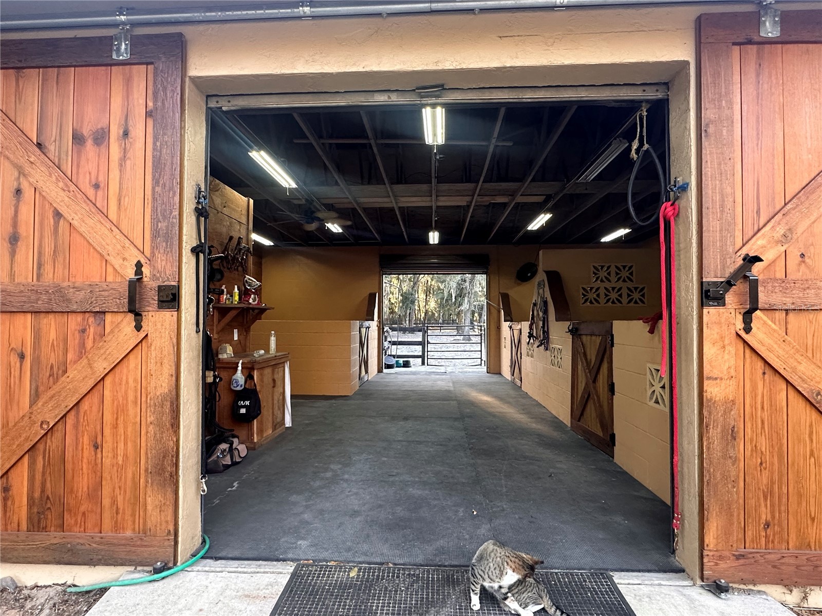 3551 E Highway 329 Anthony FL 32617 OM719291 image56
