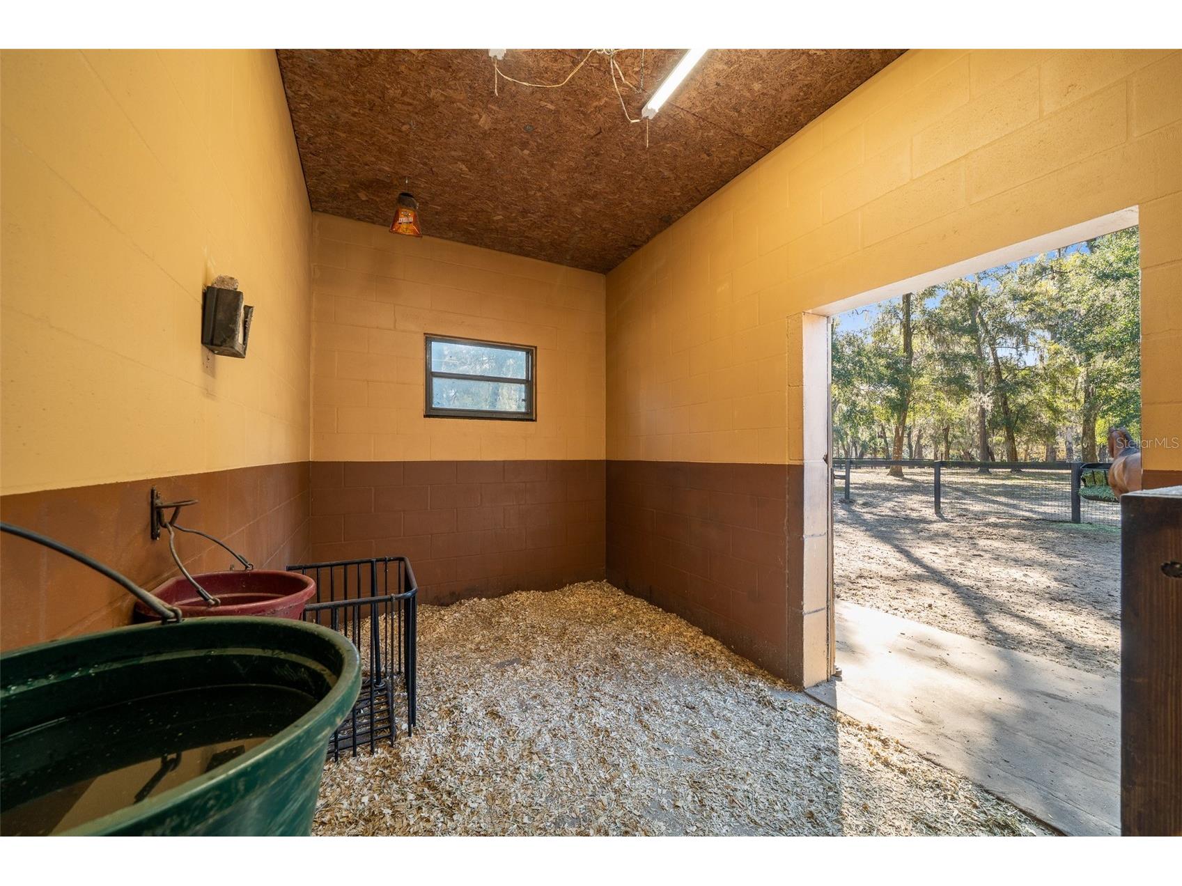 3551 E Highway 329 Anthony FL 32617 OM719291 image62