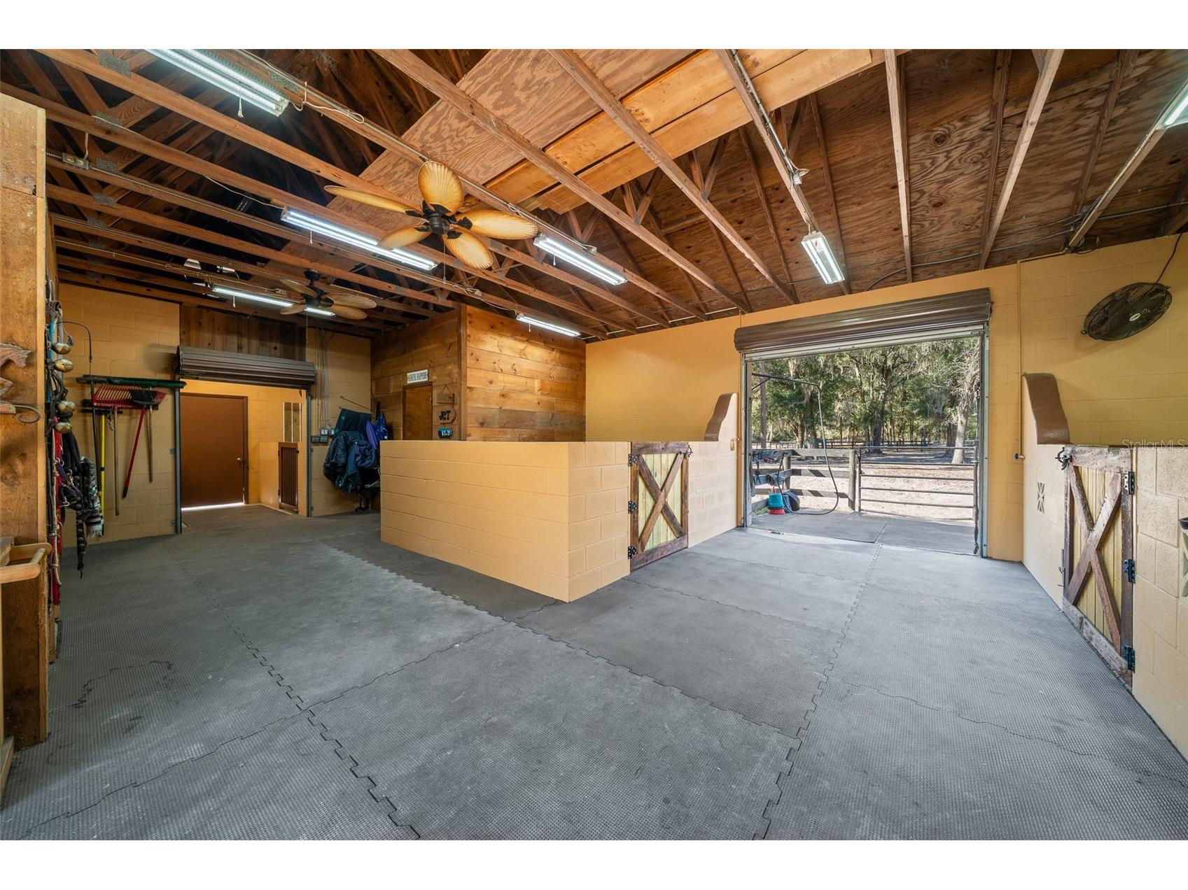 3551 E Highway 329 Anthony FL 32617 OM719291 image63