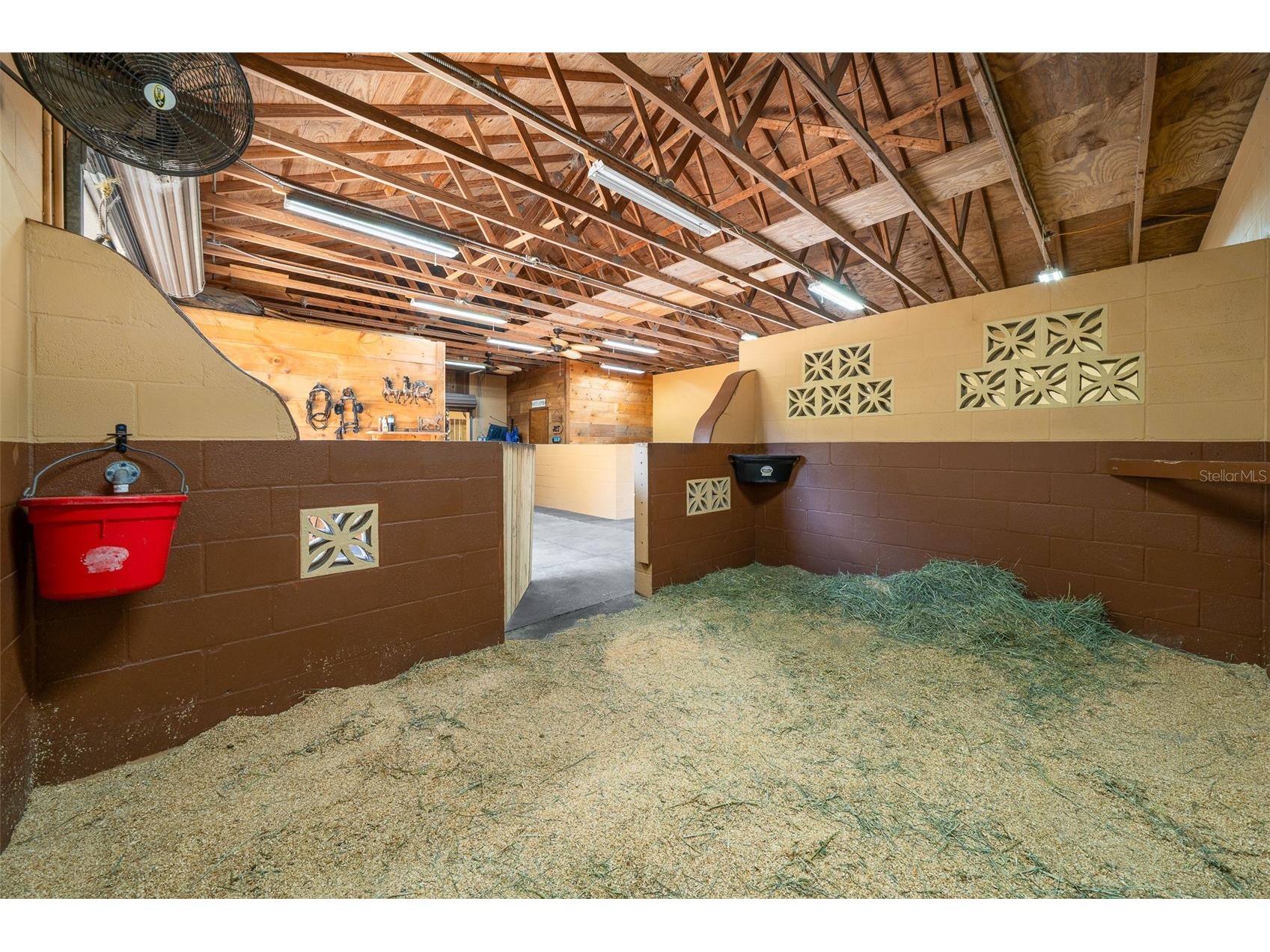 3551 E Highway 329 Anthony FL 32617 OM719291 image64