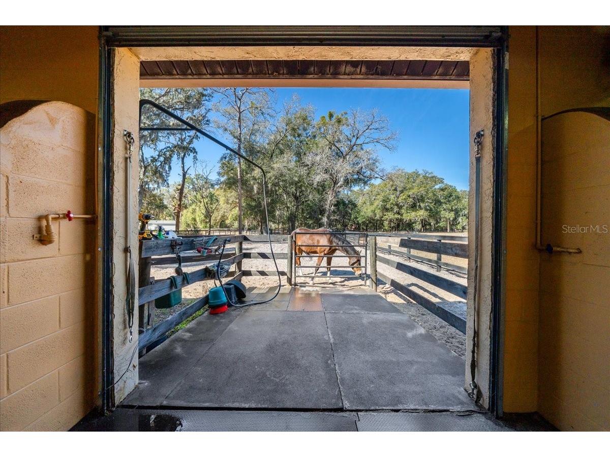 3551 E Highway 329 Anthony FL 32617 OM719291 image67