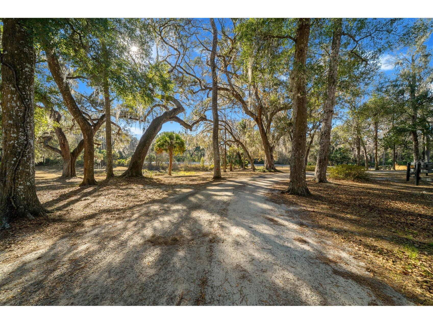 3551 E Highway 329 Anthony FL 32617 OM719291 image8