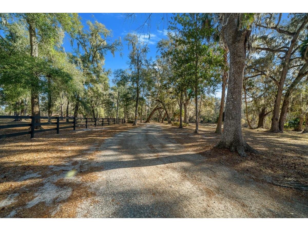 3551 E Highway 329 Anthony FL 32617 OM719291 image82