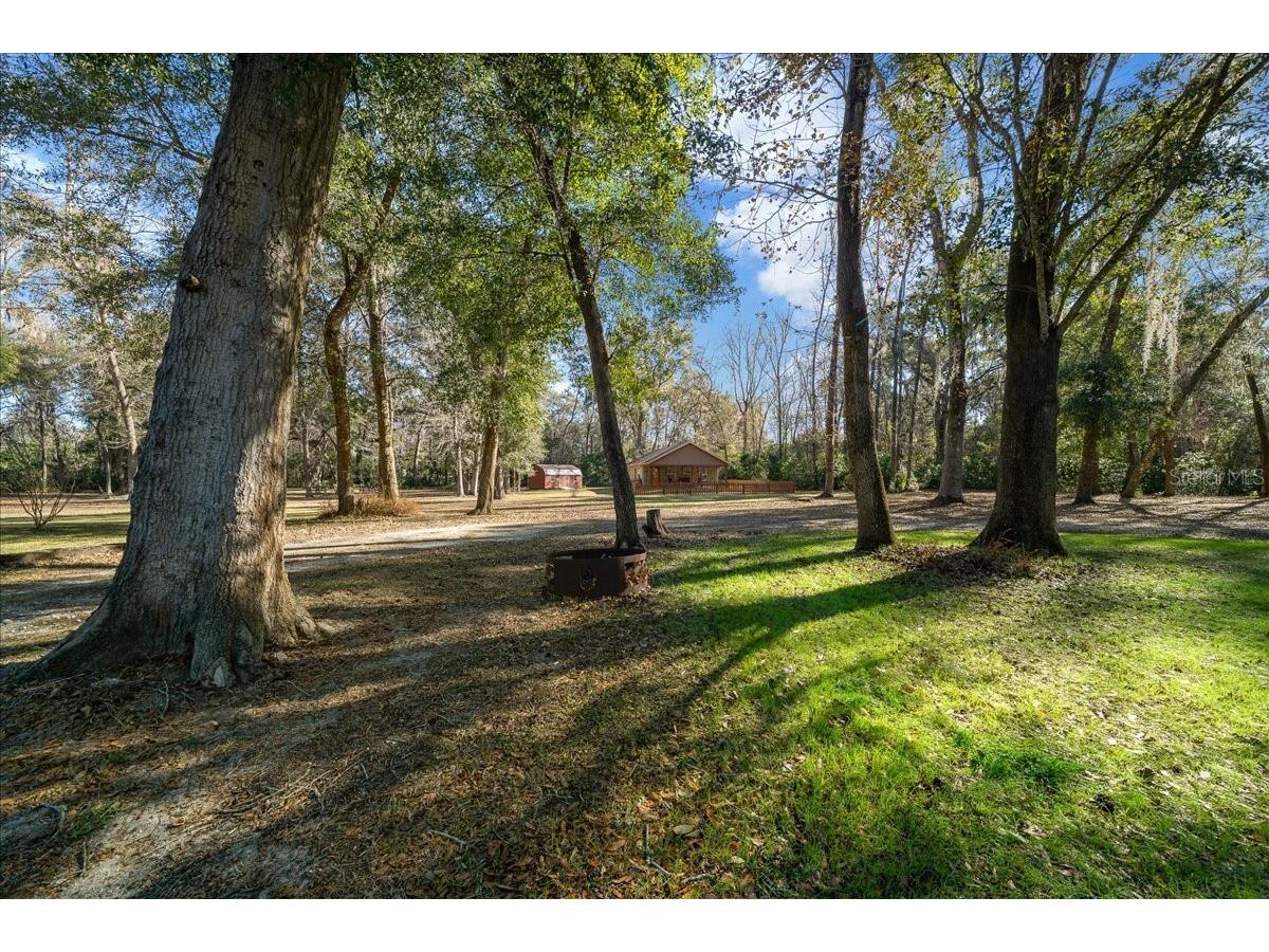 3551 E Highway 329 Anthony FL 32617 OM719291 image83