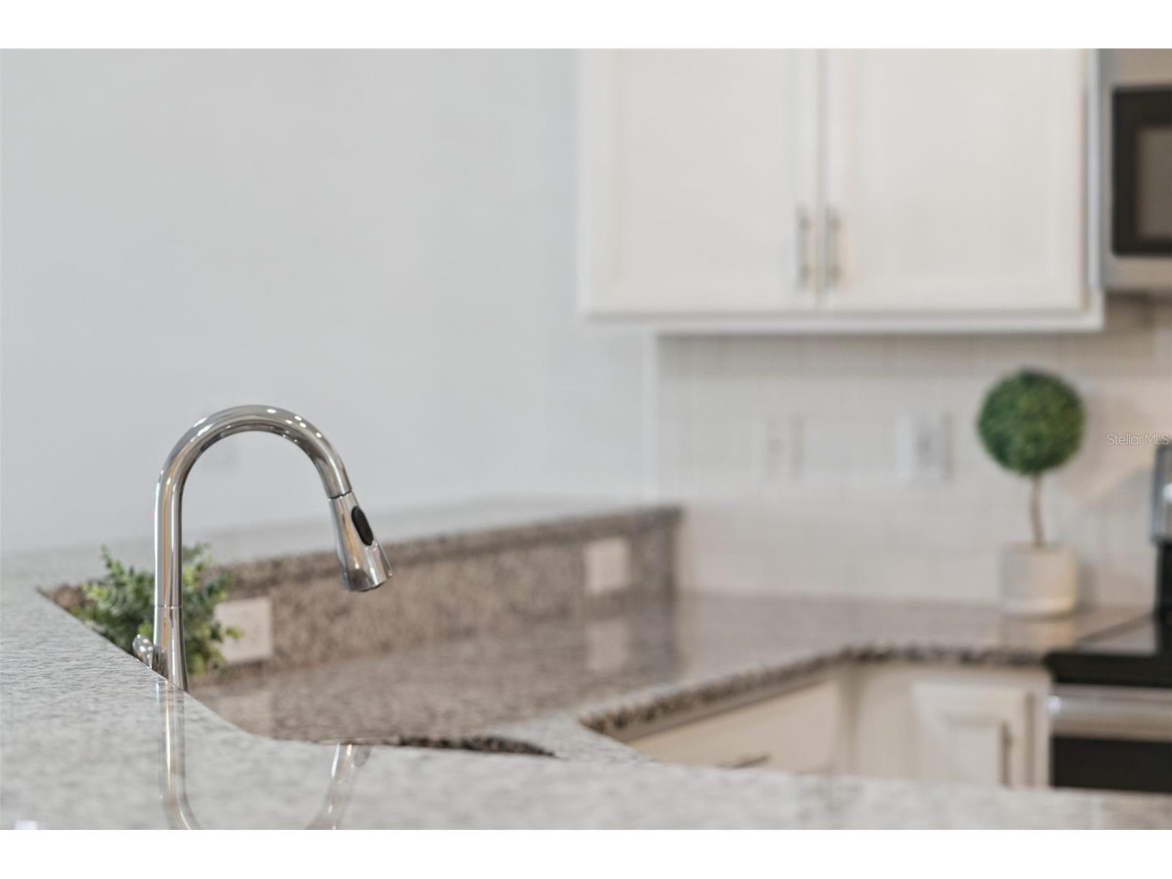 3551 Fairwaters Court #C Clermont FL 34711 O6387802 image29