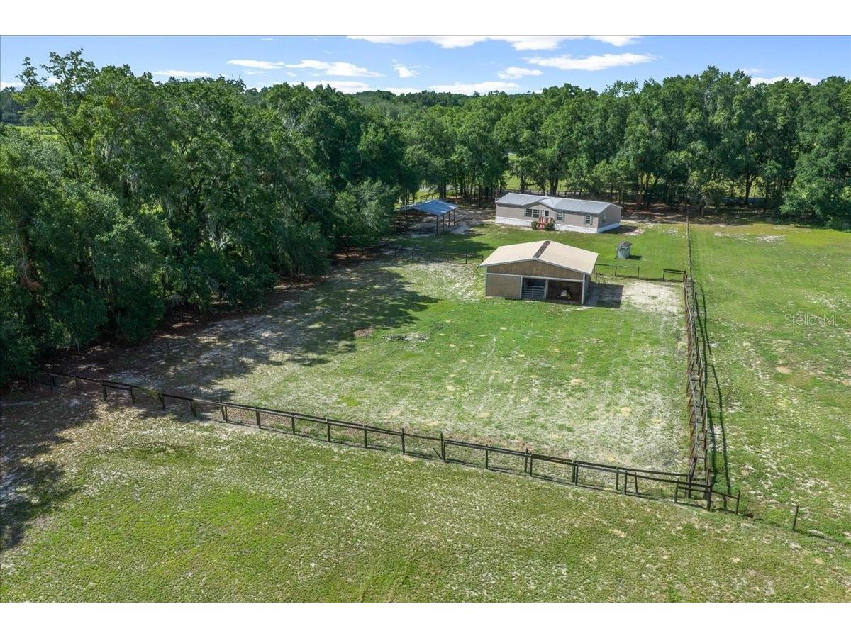 3551 NE 120th Street Anthony FL 32617 OM728472 image57