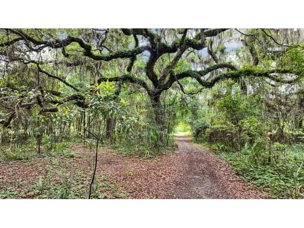 3551 NW 60th Avenue Chiefland FL 32626 GC540902 image30