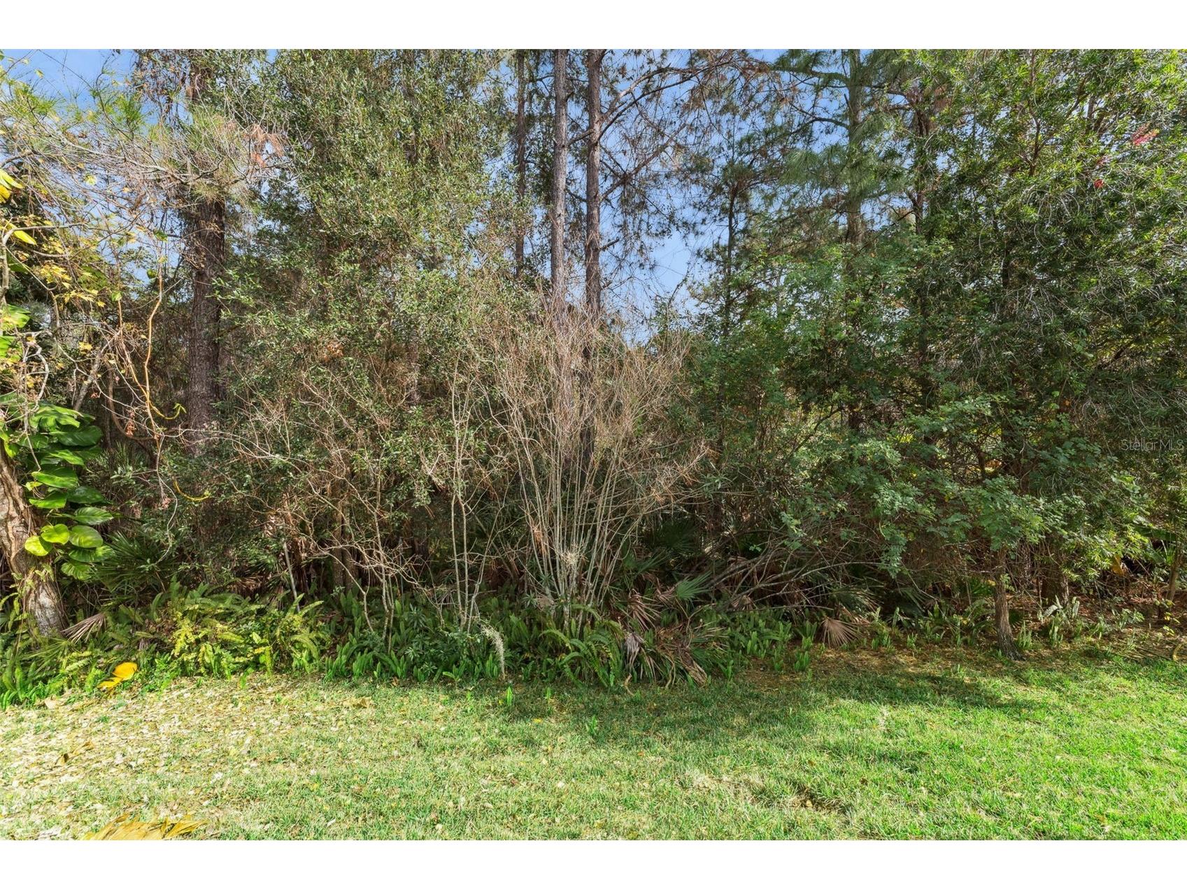 3551 Wading Heron Terrace Oviedo FL 32766 O6373022 image44