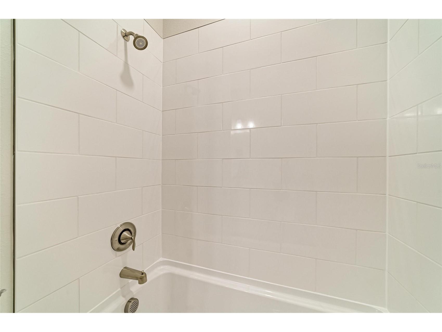 35517 Stableton Lane Zephyrhills FL 33541 TB8470673 image25