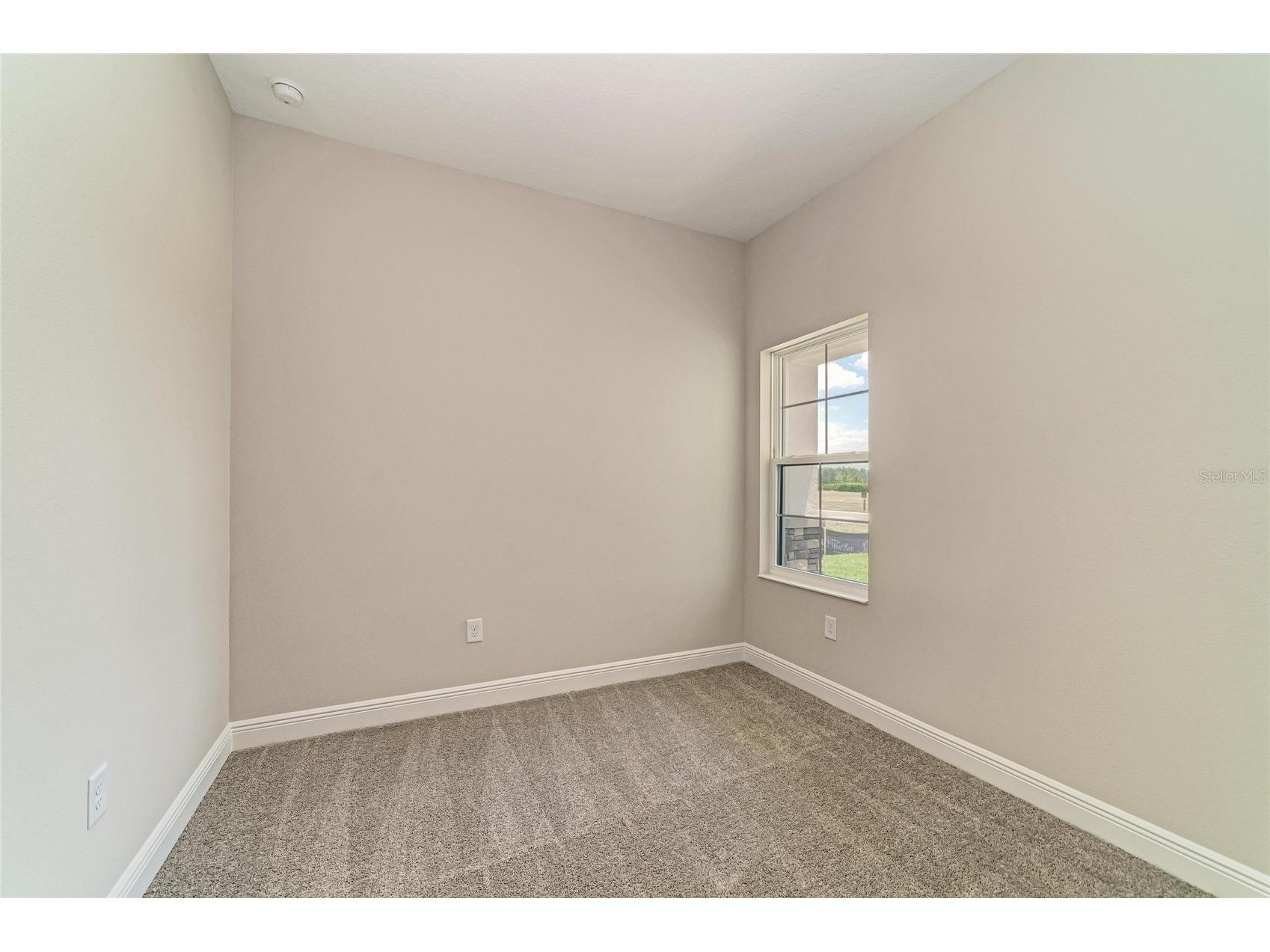 35517 Stableton Lane Zephyrhills FL 33541 TB8470673 image26