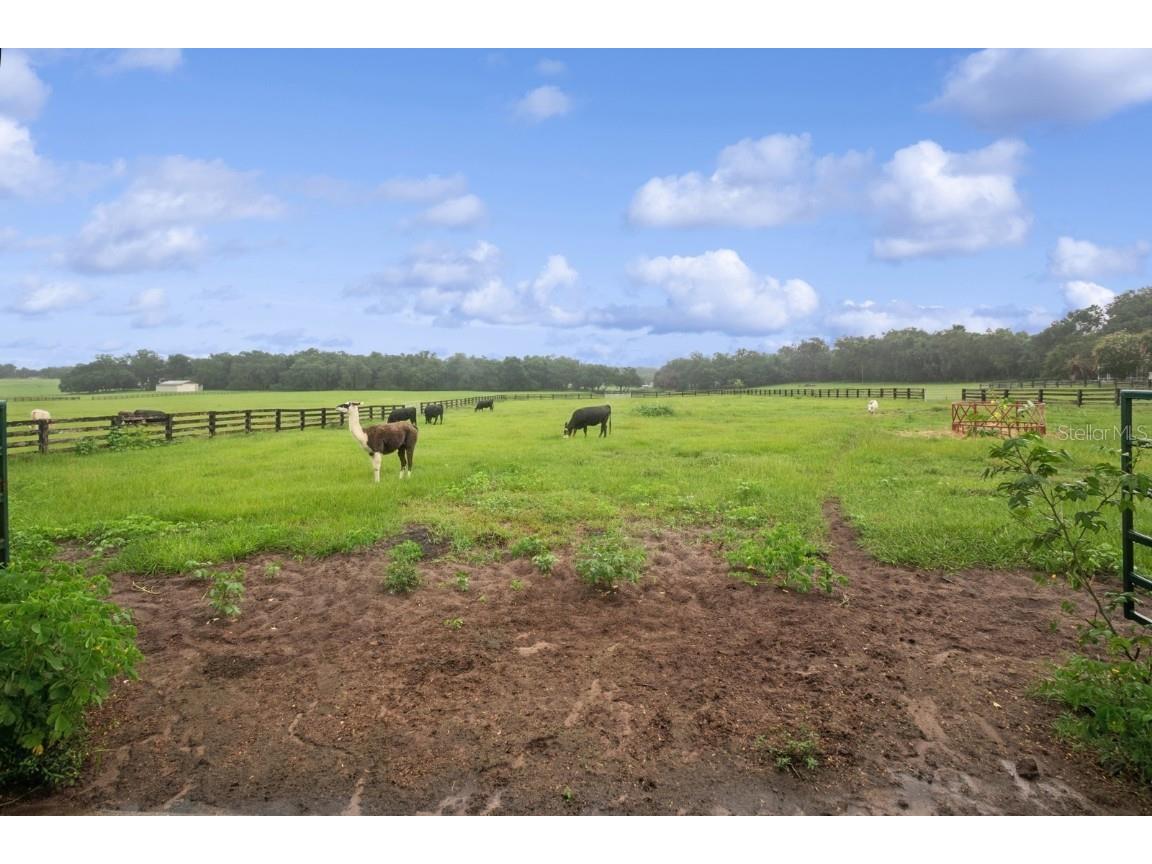 35520 Timbertop Lane Fruitland Park FL 34731 G5099725 image49