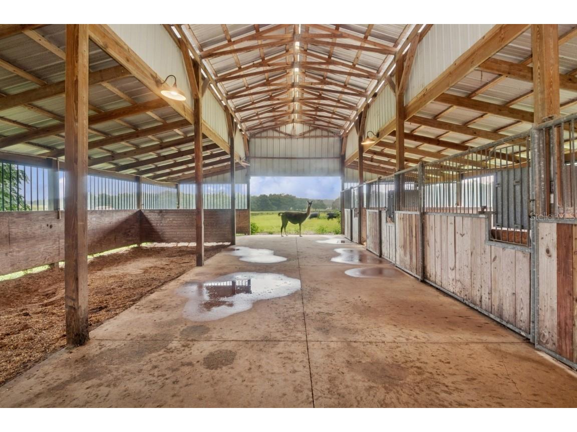 35520 Timbertop Lane Fruitland Park FL 34731 G5099725 image57