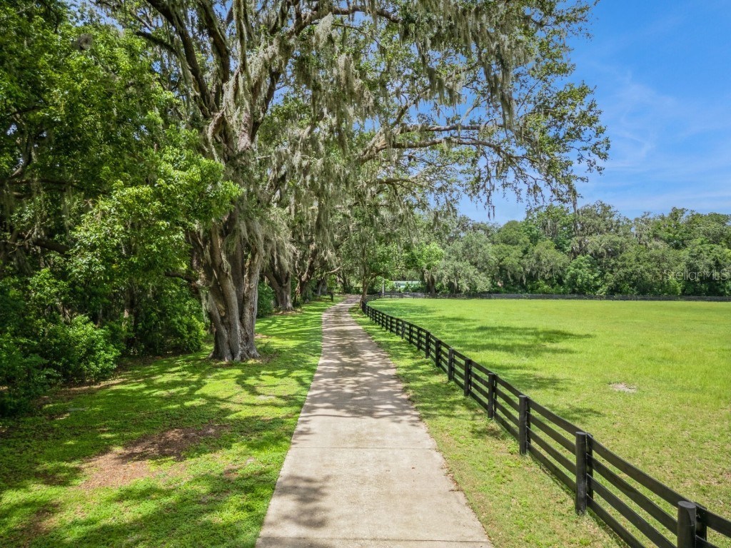 35520 Timbertop Lane Fruitland Park FL 34731 G5099725 image78