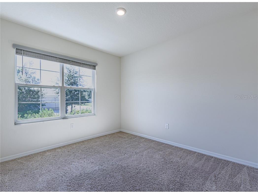 35525 Stella Vast Drive Zephyrhills FL 33541 TB8432783 image13