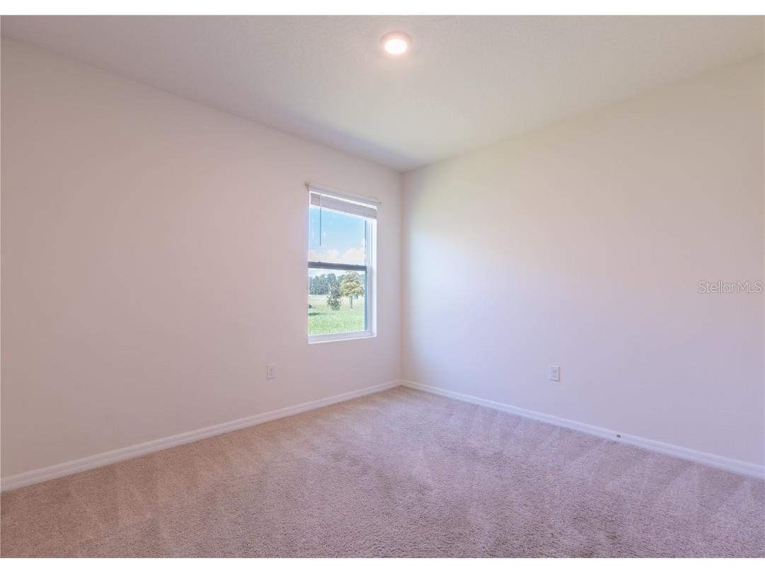 35525 Stella Vast Drive Zephyrhills FL 33541 TB8432783 image18