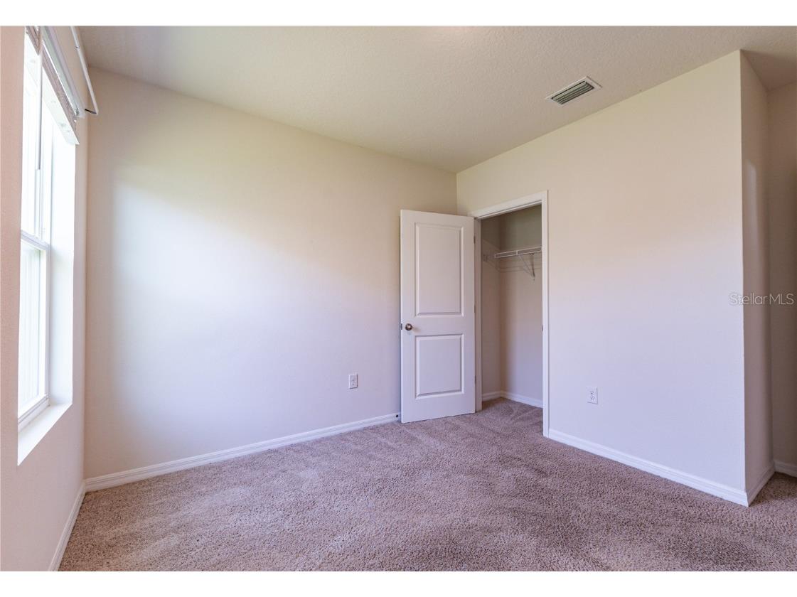 35525 Stella Vast Drive Zephyrhills FL 33541 TB8432783 image19