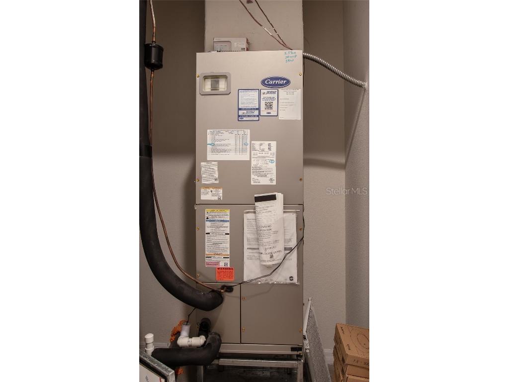 35525 Stella Vast Drive Zephyrhills FL 33541 TB8432783 image24