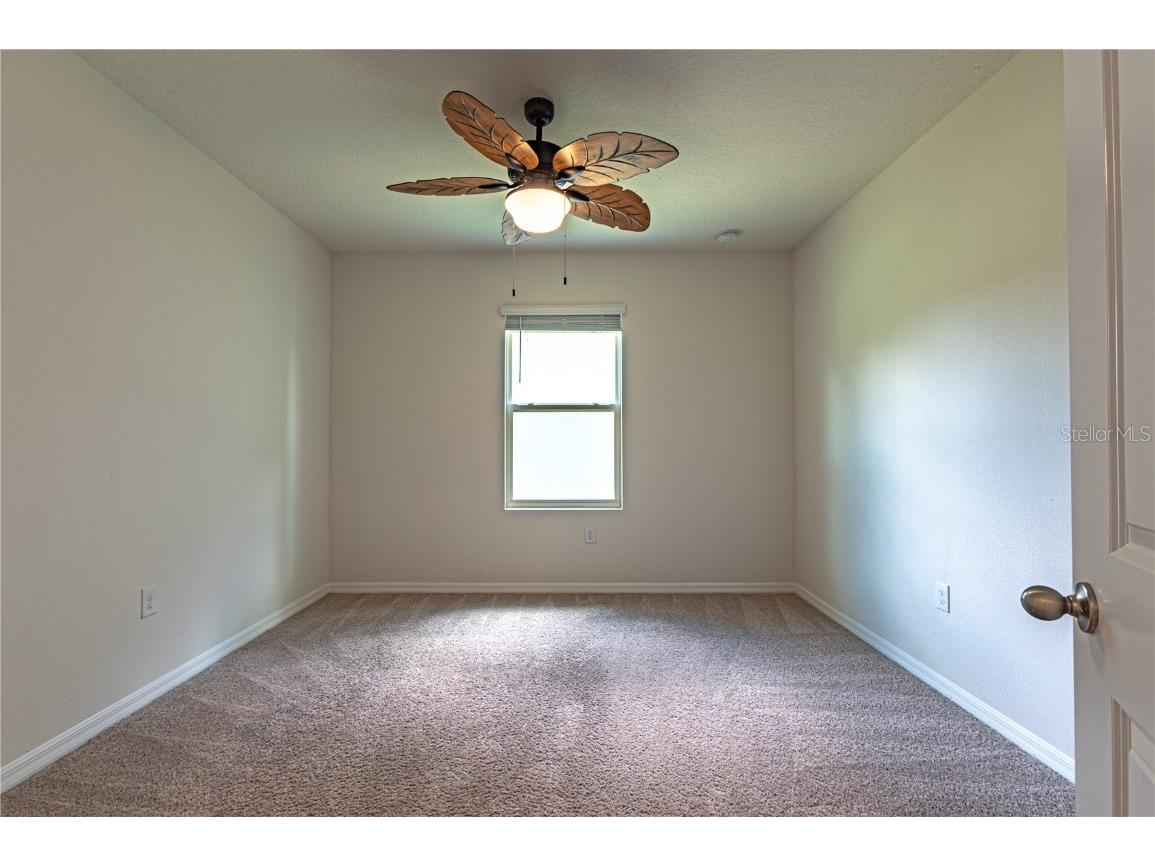 35525 Stella Vast Drive Zephyrhills FL 33541 TB8432783 image25