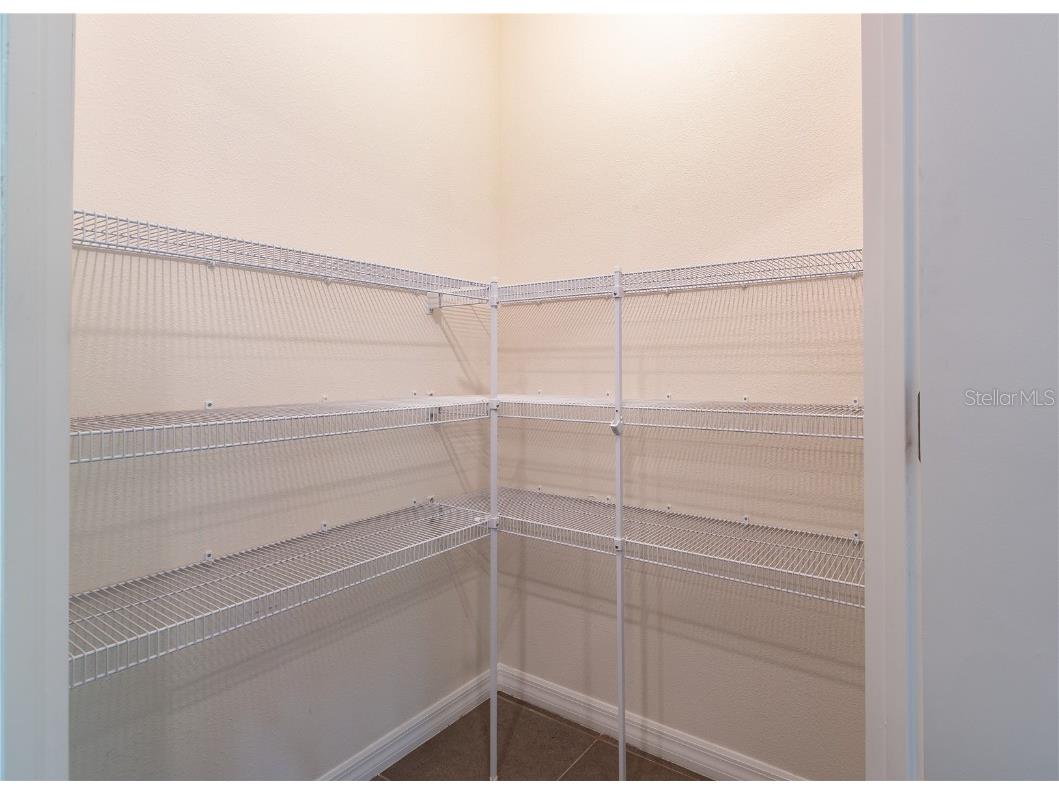 35525 Stella Vast Drive Zephyrhills FL 33541 TB8432783 image28