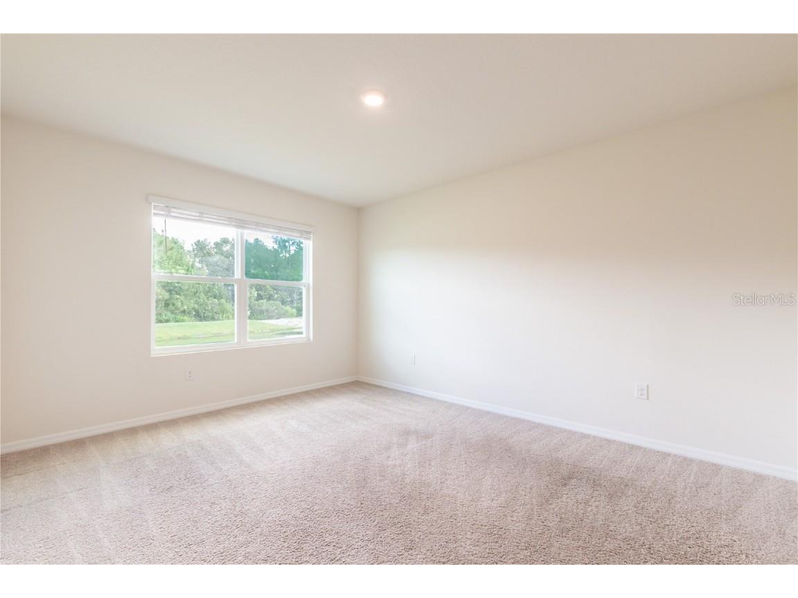 35525 Stella Vast Drive Zephyrhills FL 33541 TB8432783 image37