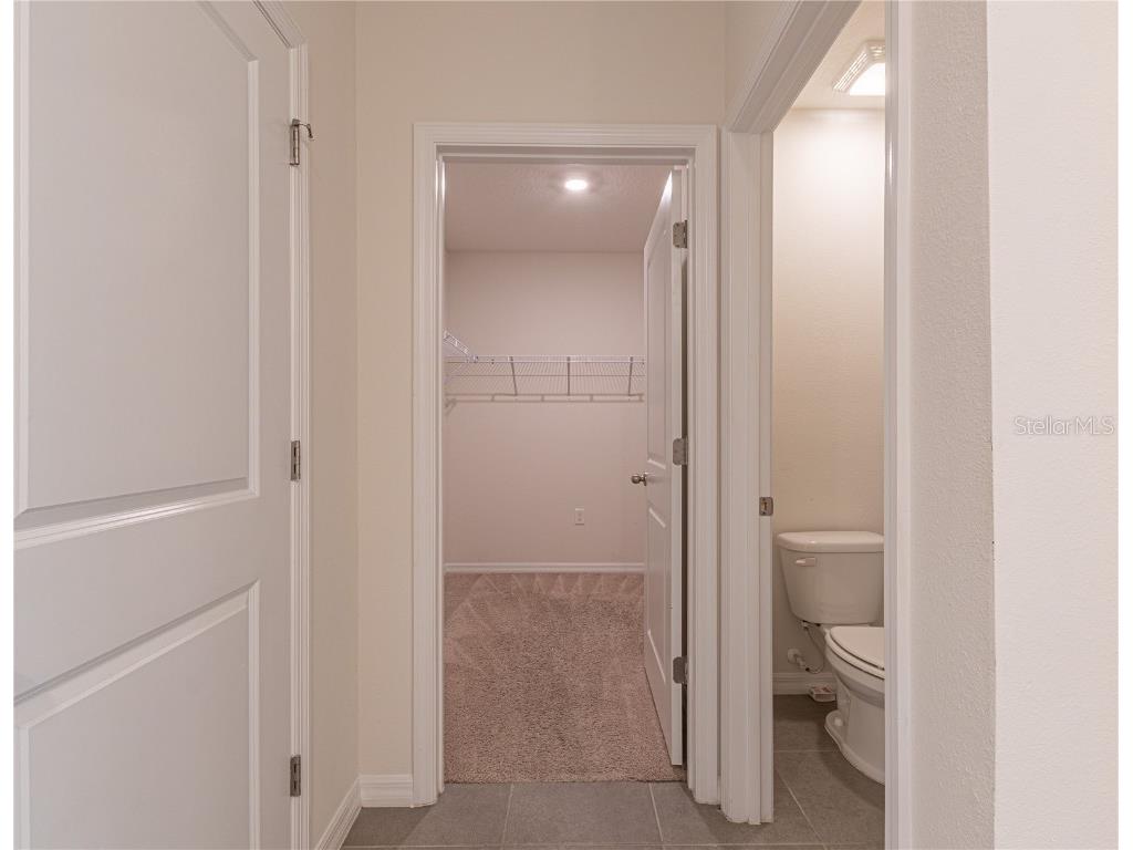 35525 Stella Vast Drive Zephyrhills FL 33541 TB8432783 image42