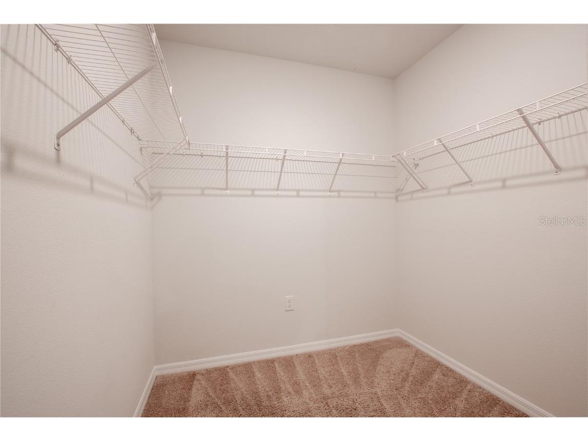 35525 Stella Vast Drive Zephyrhills FL 33541 TB8432783 image45