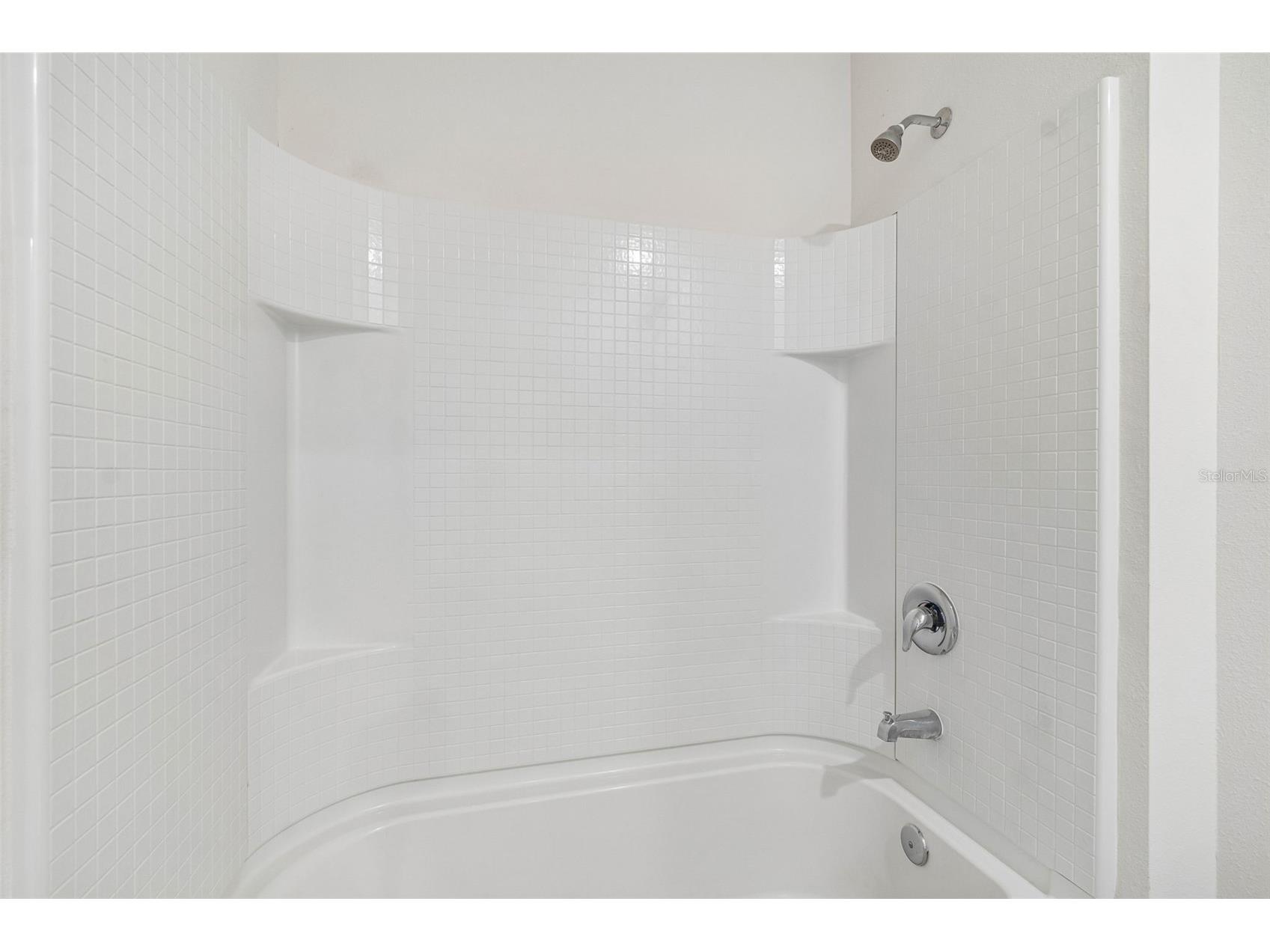 35525 Stella Vast Drive Zephyrhills FL 33541 TB8517751 image10
