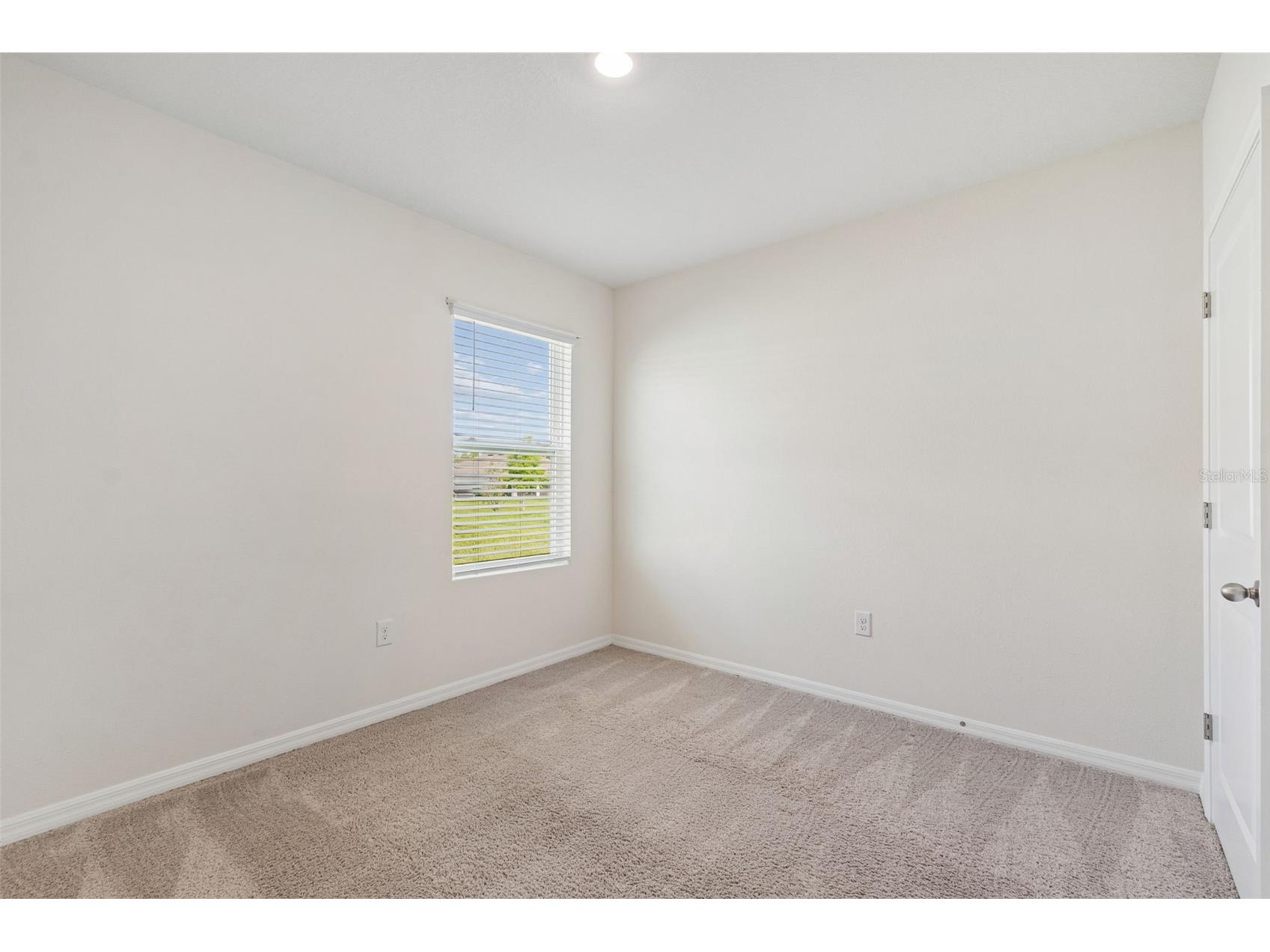 35525 Stella Vast Drive Zephyrhills FL 33541 TB8517751 image12