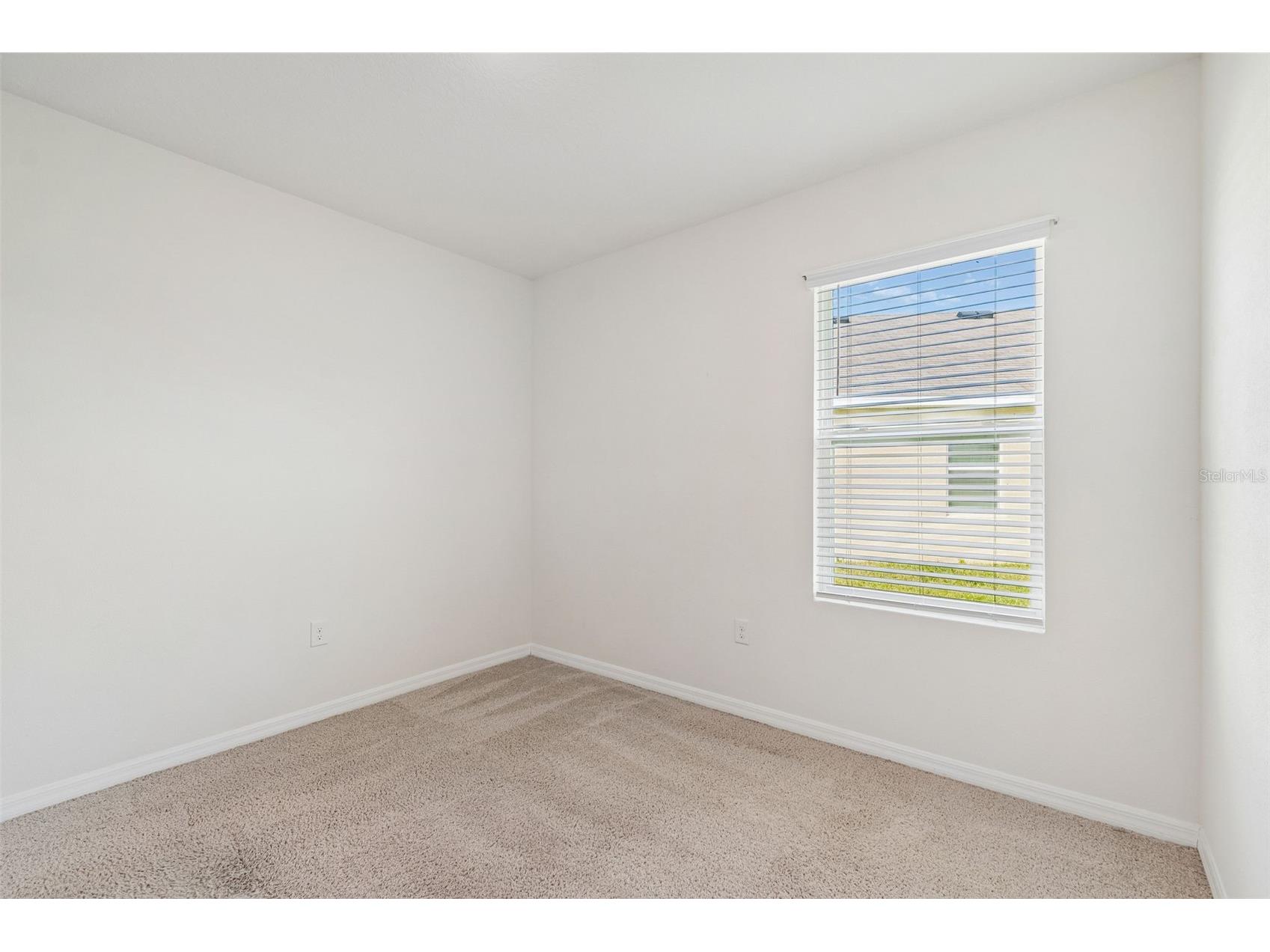 35525 Stella Vast Drive Zephyrhills FL 33541 TB8517751 image13